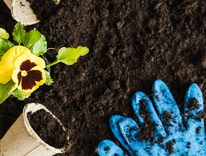 organic liquid fertilizer for vegetables, manure for plants