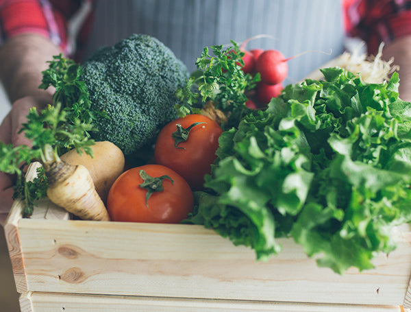 grow kit, gardening kit