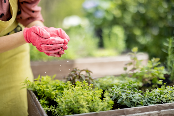 Types of fertilizer best for home gardening