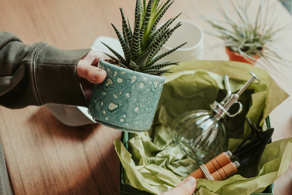 8 Happy Birthday Gift Ideas For Gardening Enthusiasts