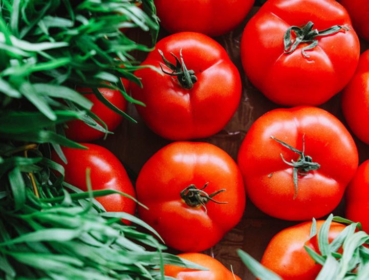 Tomato Plant Care: From Planting to Harvest - Comprehensive Guide