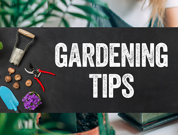 gardening kit,diy garden kit,vegetable gardening kits