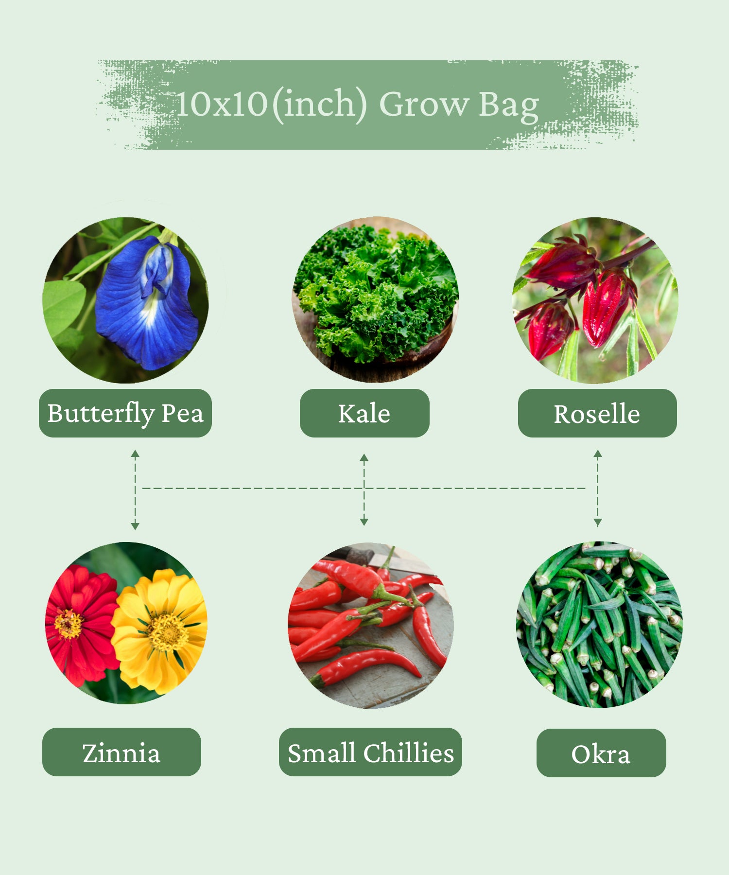 grow bags online