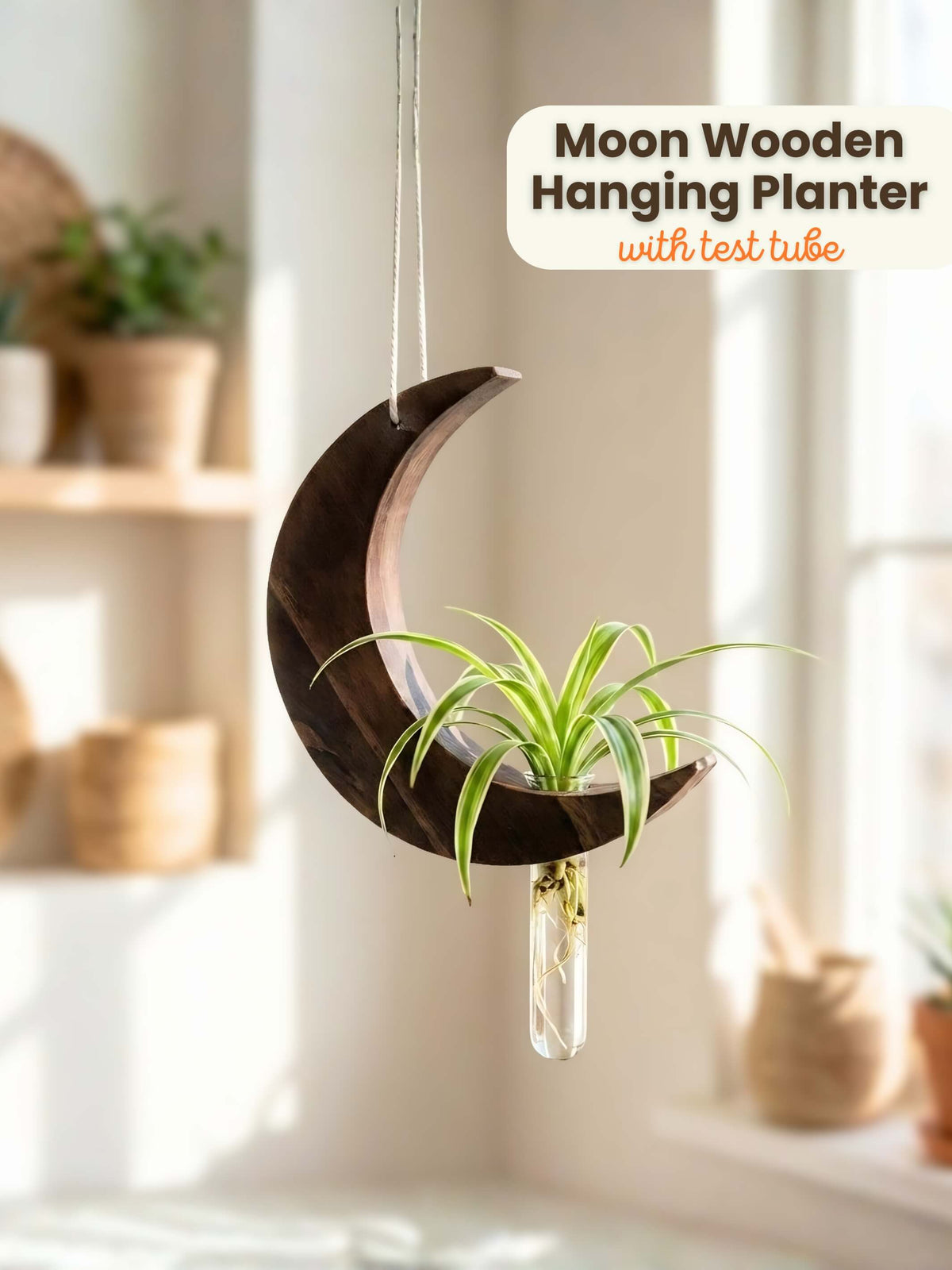 Moon-Shaped Wooden Test Tube Planter