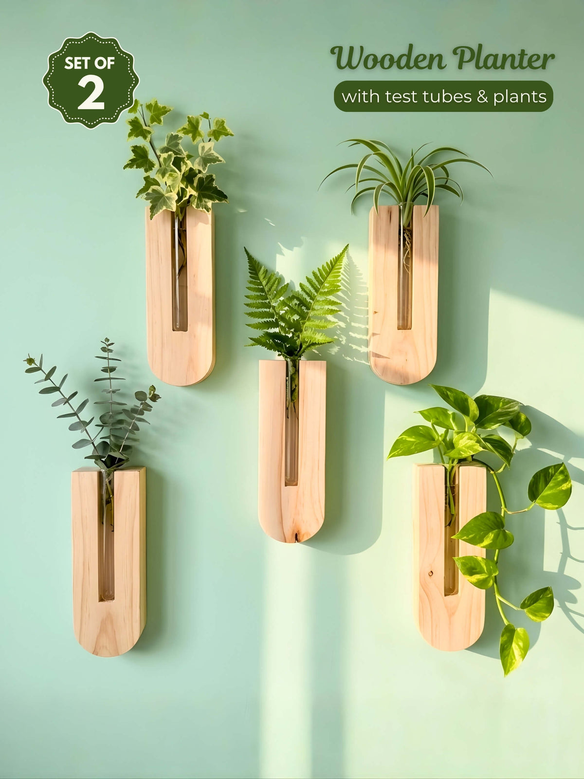 Wooden Wall Planter with Test Tube & Artificial Plant | Set of 2
