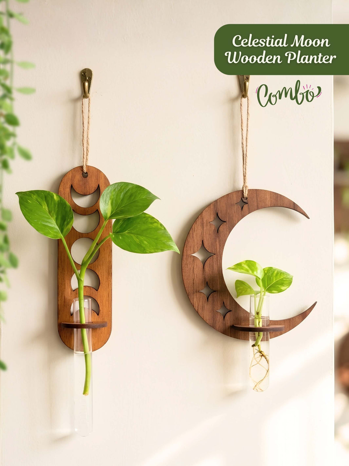 Celestial Moon Wooden Wall Planter - Combo