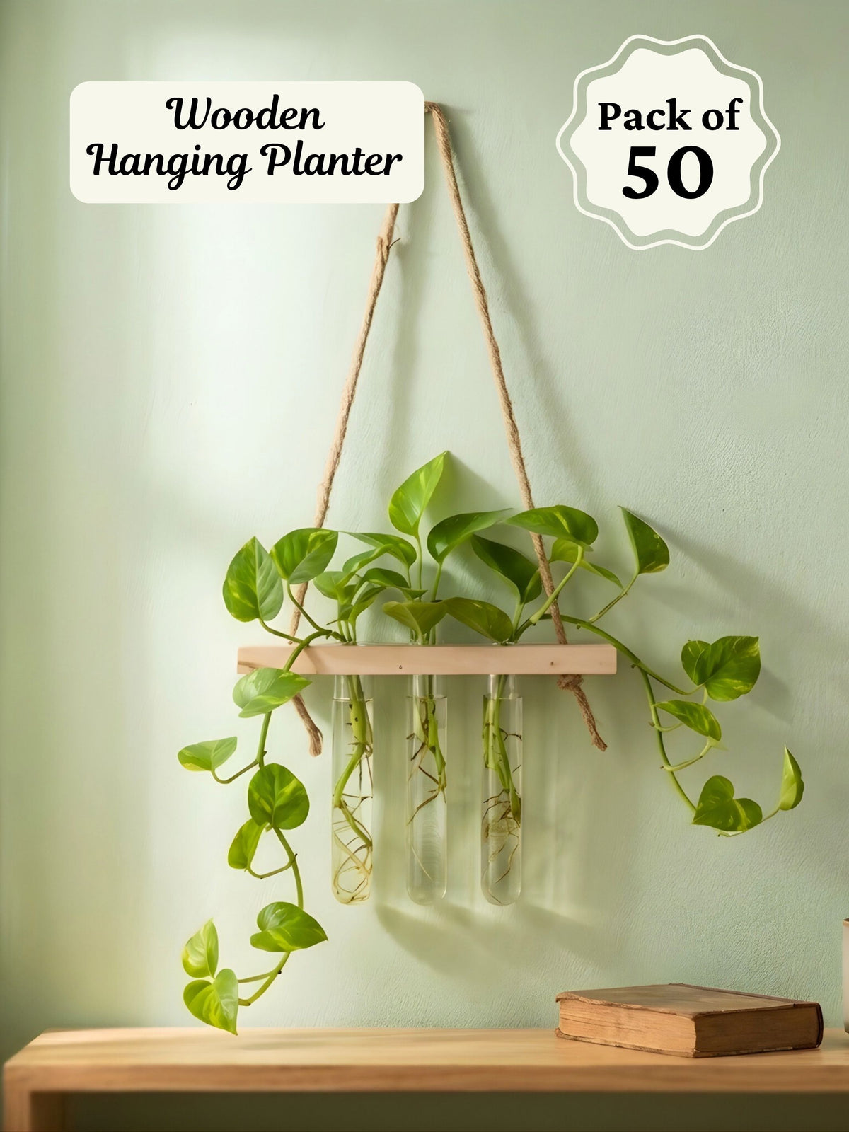Wooden Hanging Planter for Home | Pack of 50