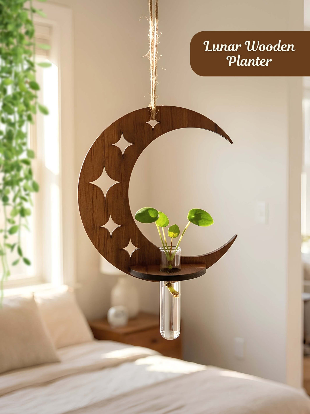 Lunar Wooden Test Tube Planter - 1 pc