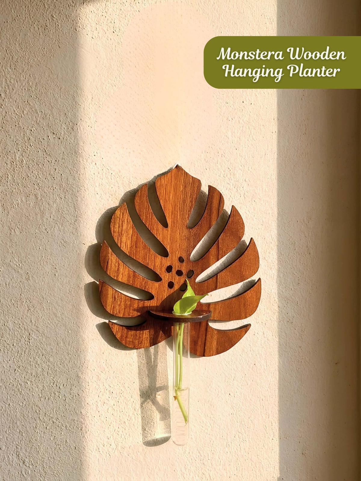 Wooden Monstera Test Tube Planter