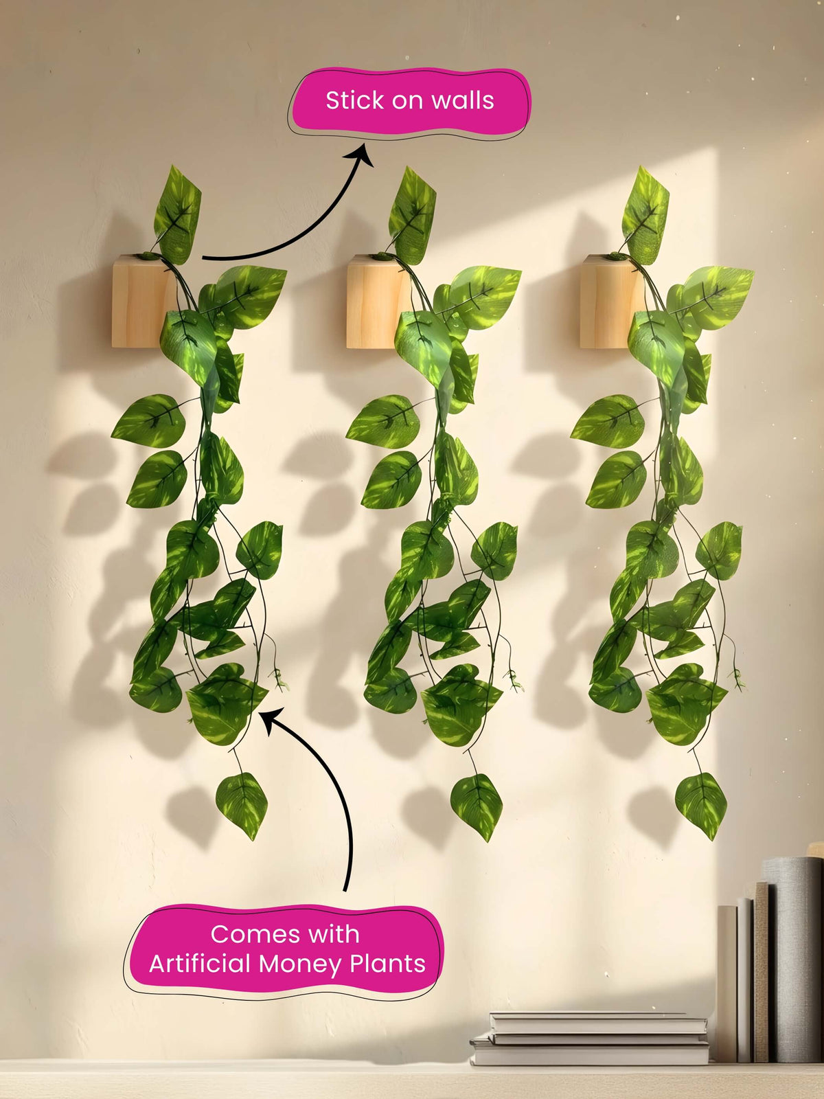 Mini Wall Wooden Planter with Money Plant - 3 pieces