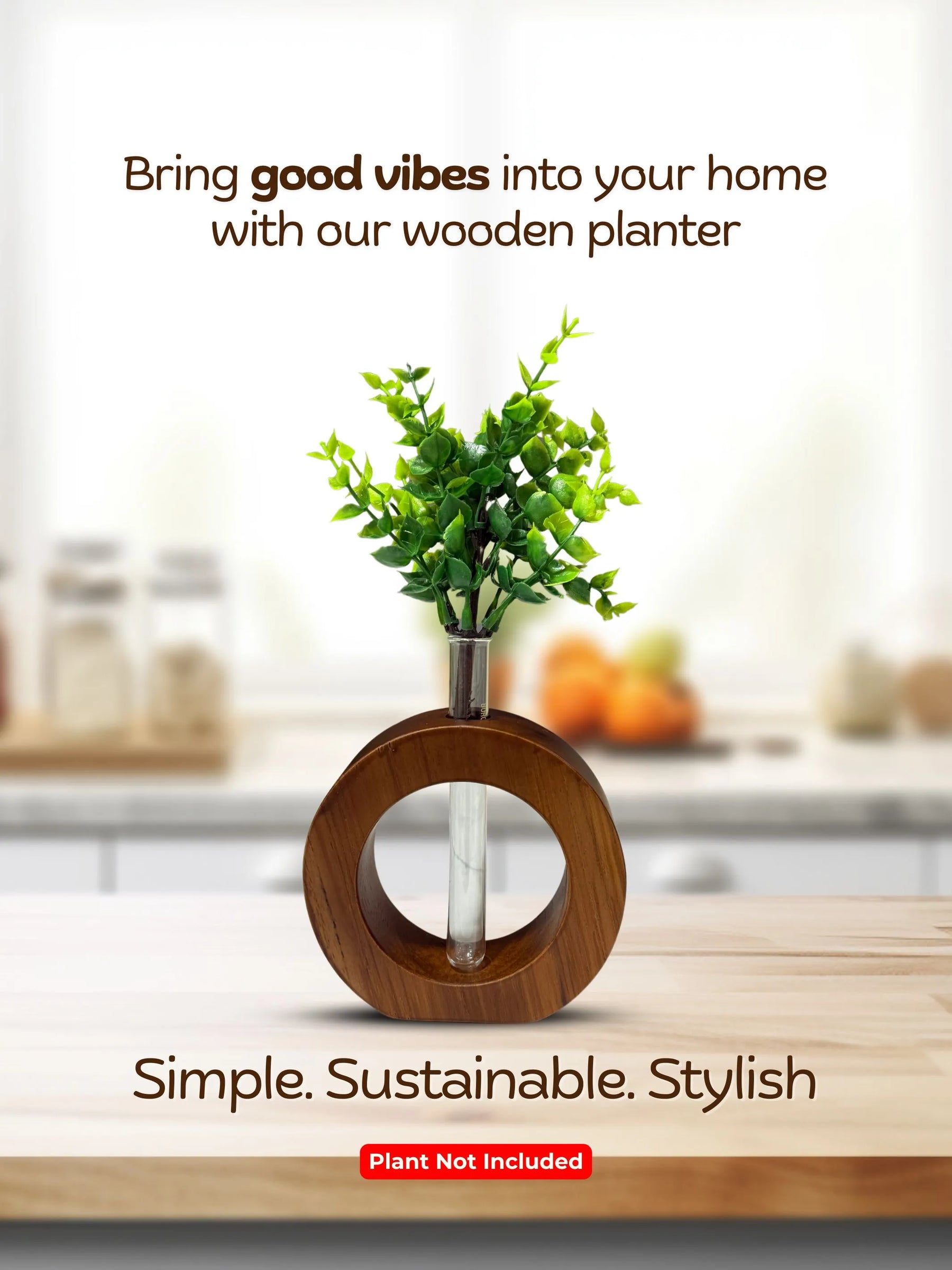 Cute Wooden Round Planter with Test Tube