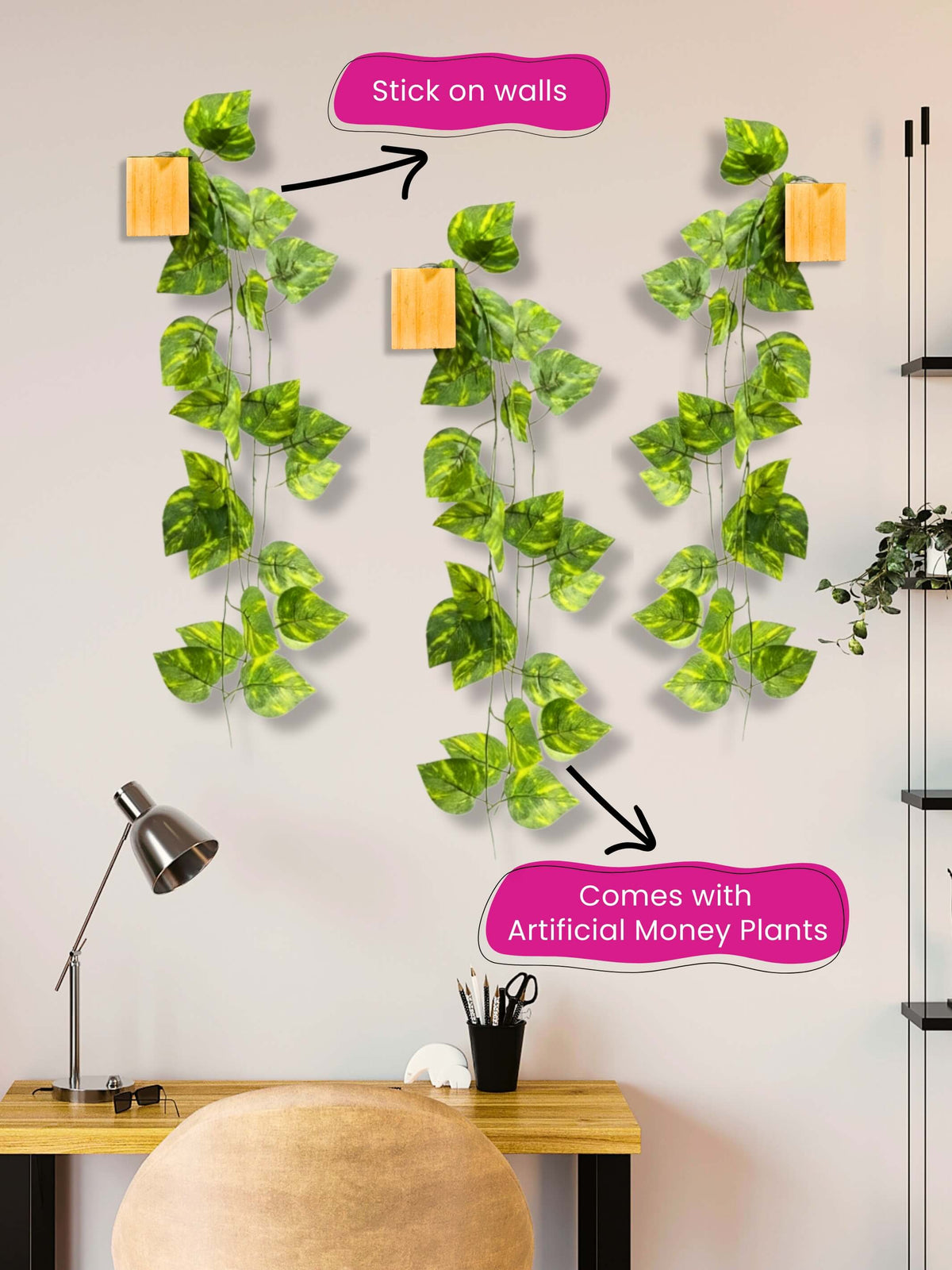 Mini Wall Wooden Planter with Money Plant - 3 pieces