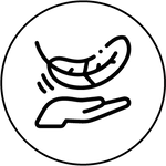 organic microgreens growing kit