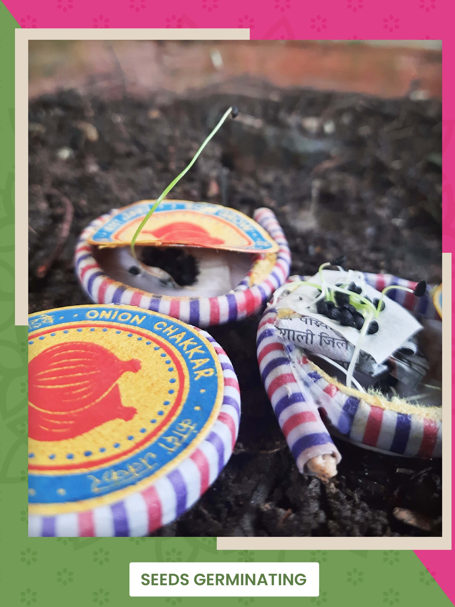 4 in 1 Beej Patakhas - Plantable Cracker Diwali Gift Hamper