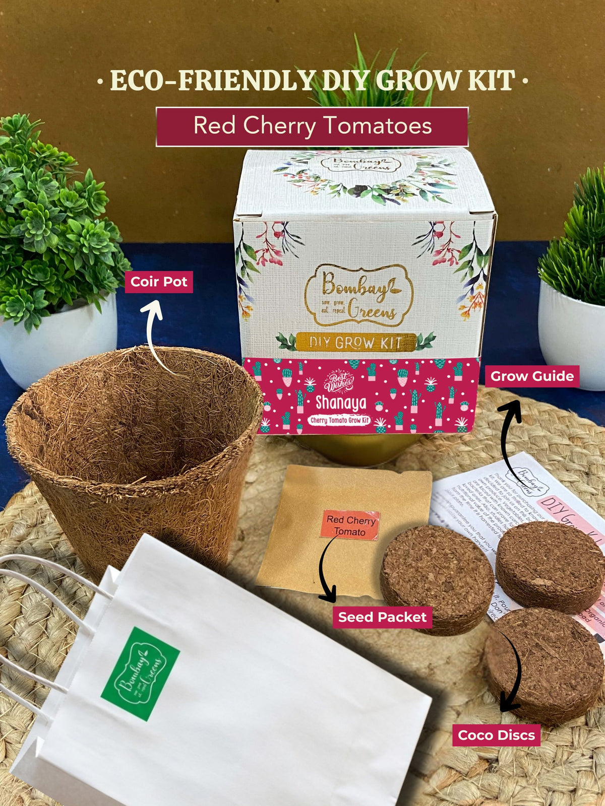 DIY Red Cherry Tomatoes Gardening Kit (Pack of 20) - Customised Gifting