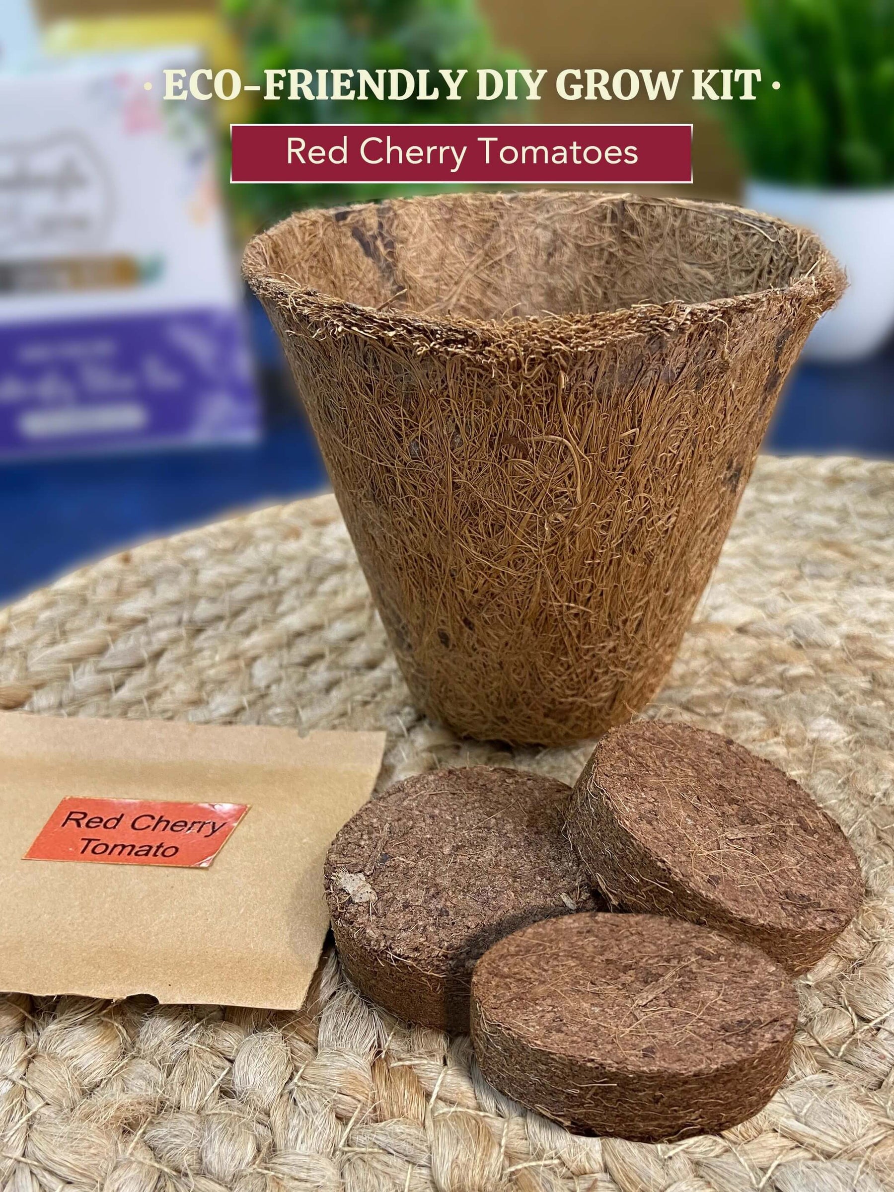 DIY Red Cherry Tomatoes Gardening Kit (Pack of 20) - Customised Gifting