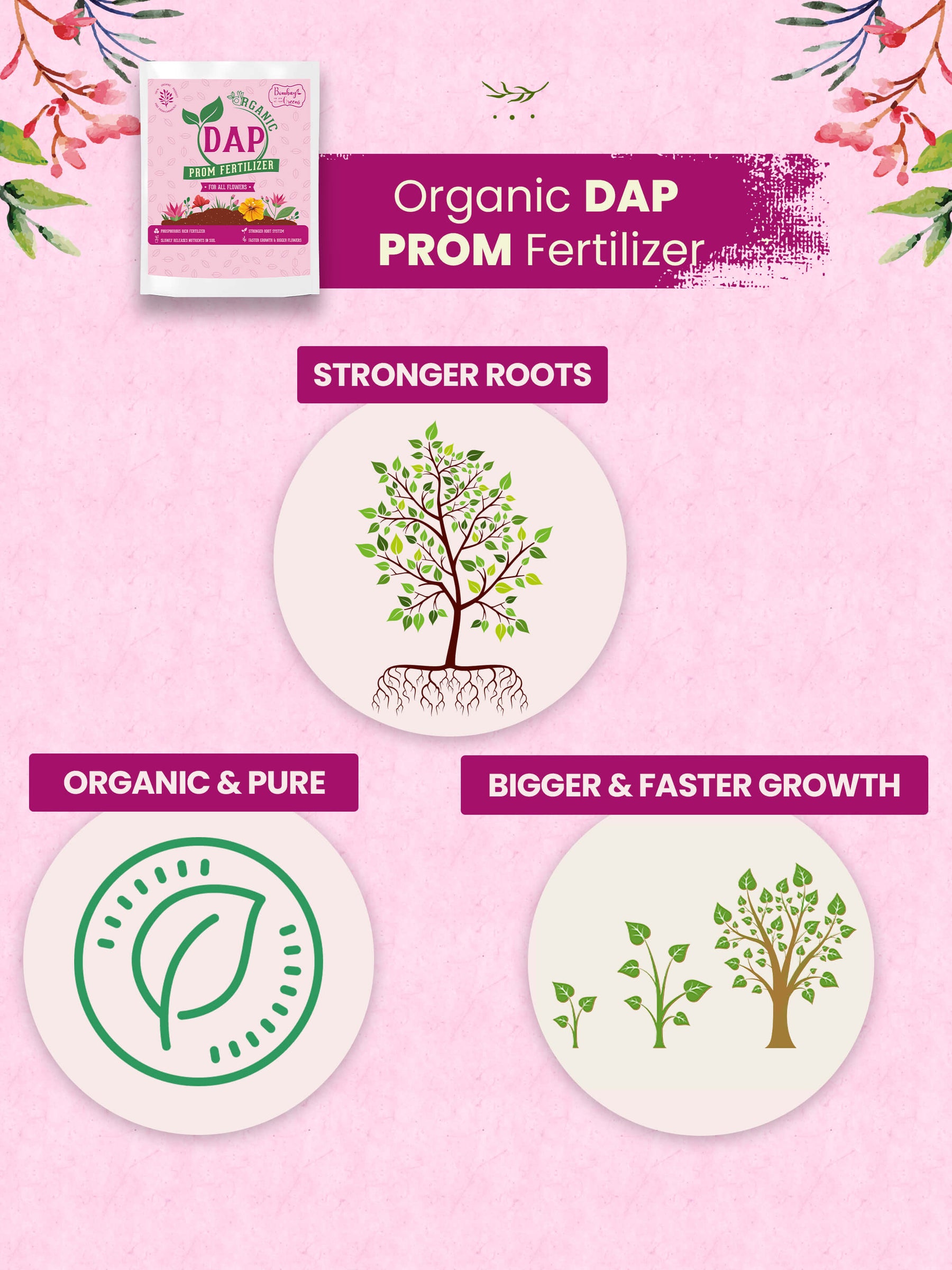 Organic DAP PROM Fertilizer for Roses & Flowers - 900 Grams