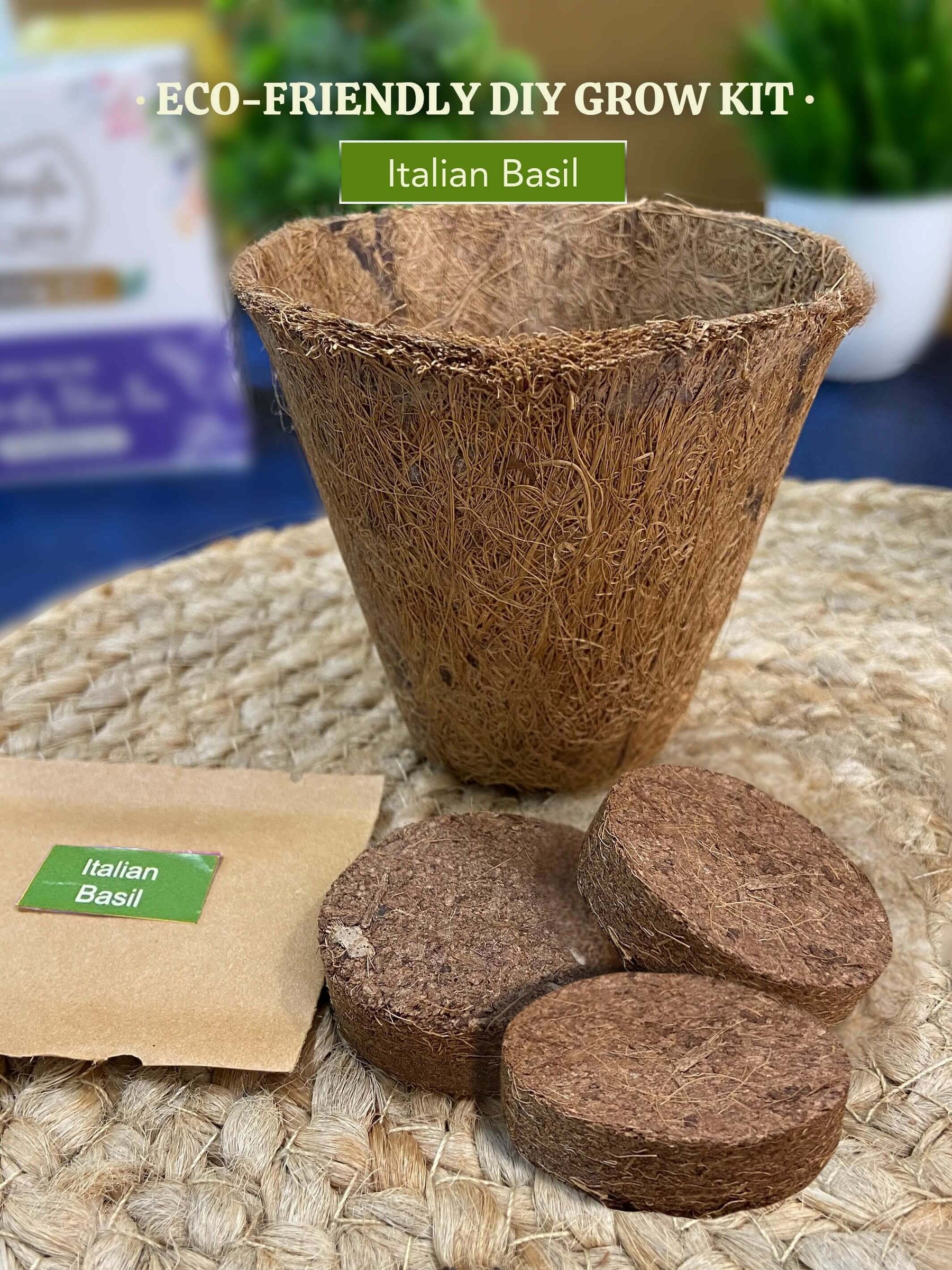 DIY Italian Basil Gardening Kit (Pack of 20) - Customised Gifting