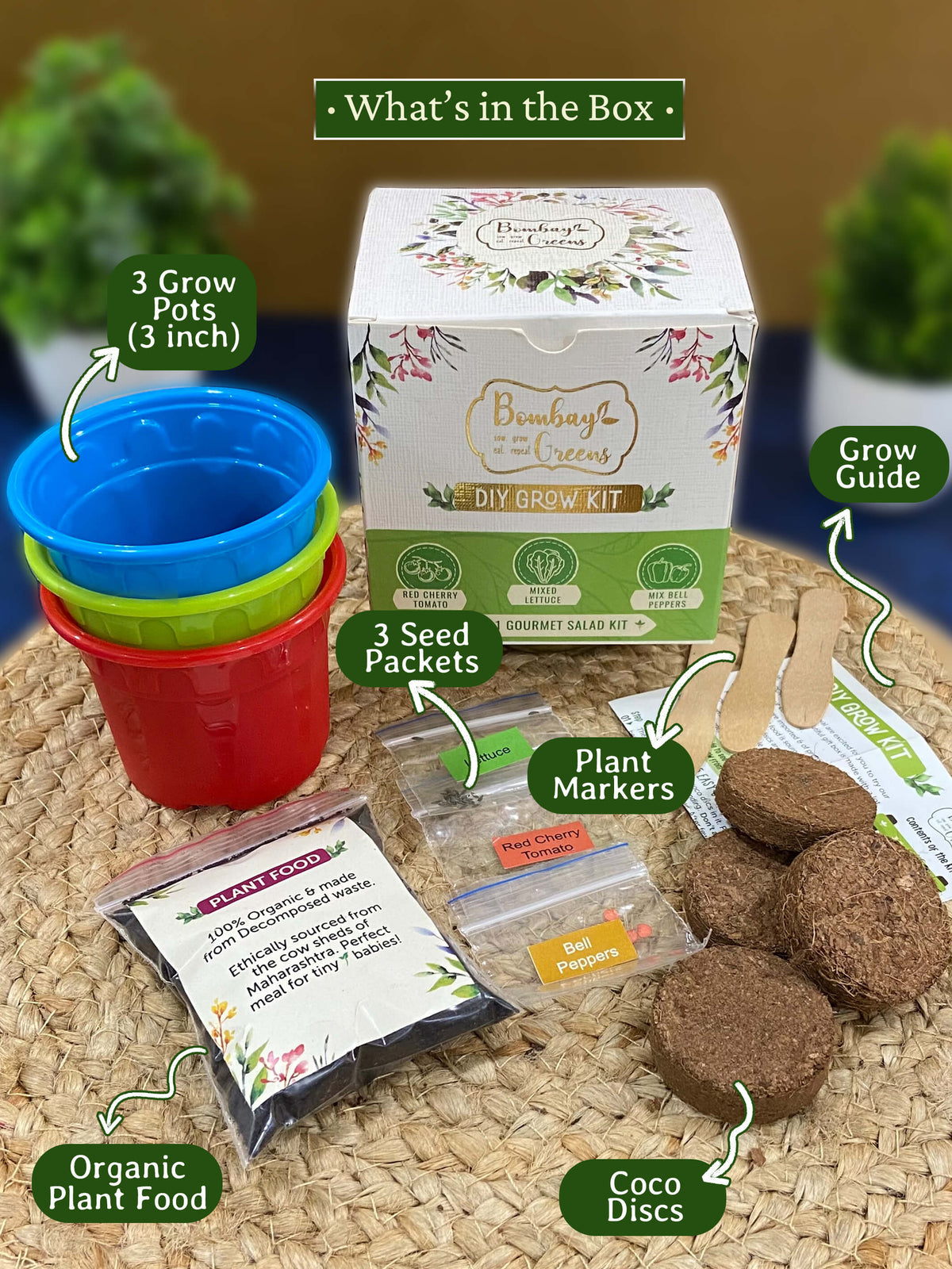 Grow Kits - Salad, Temple Offerings & Herbs (Pack of 3)