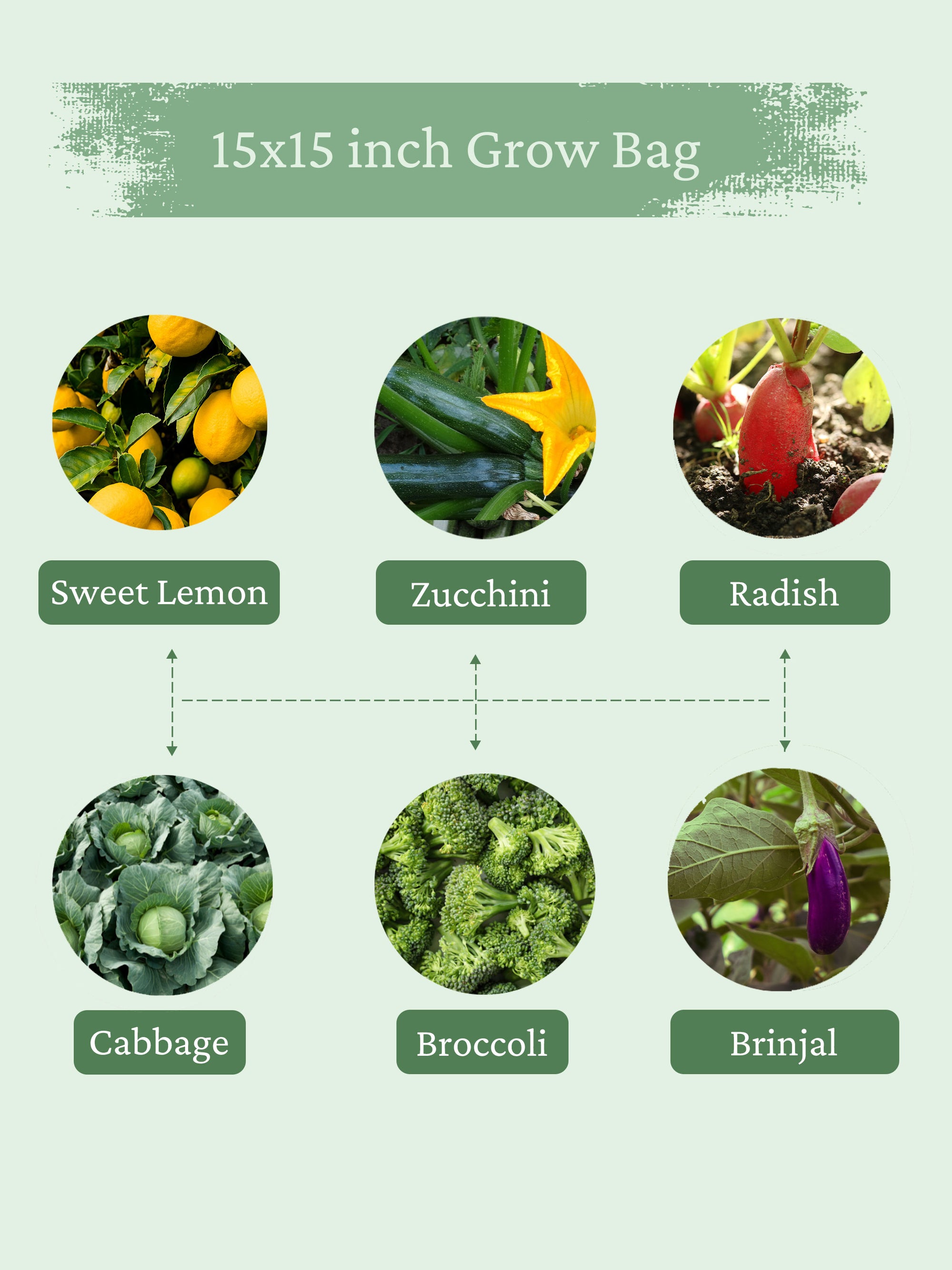grow bags for terrace garden, grow bags for plants, grow bags vegetable