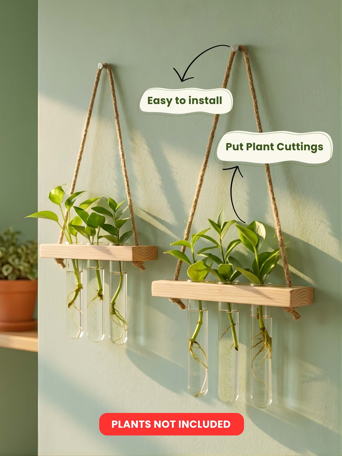 Wooden Hanging Planter for Home | Set of 2