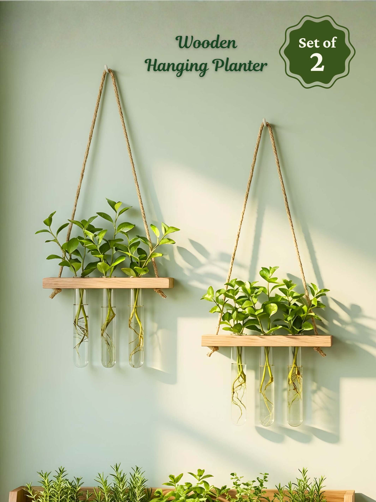 Wooden Hanging Planter for Home | Set of 2
