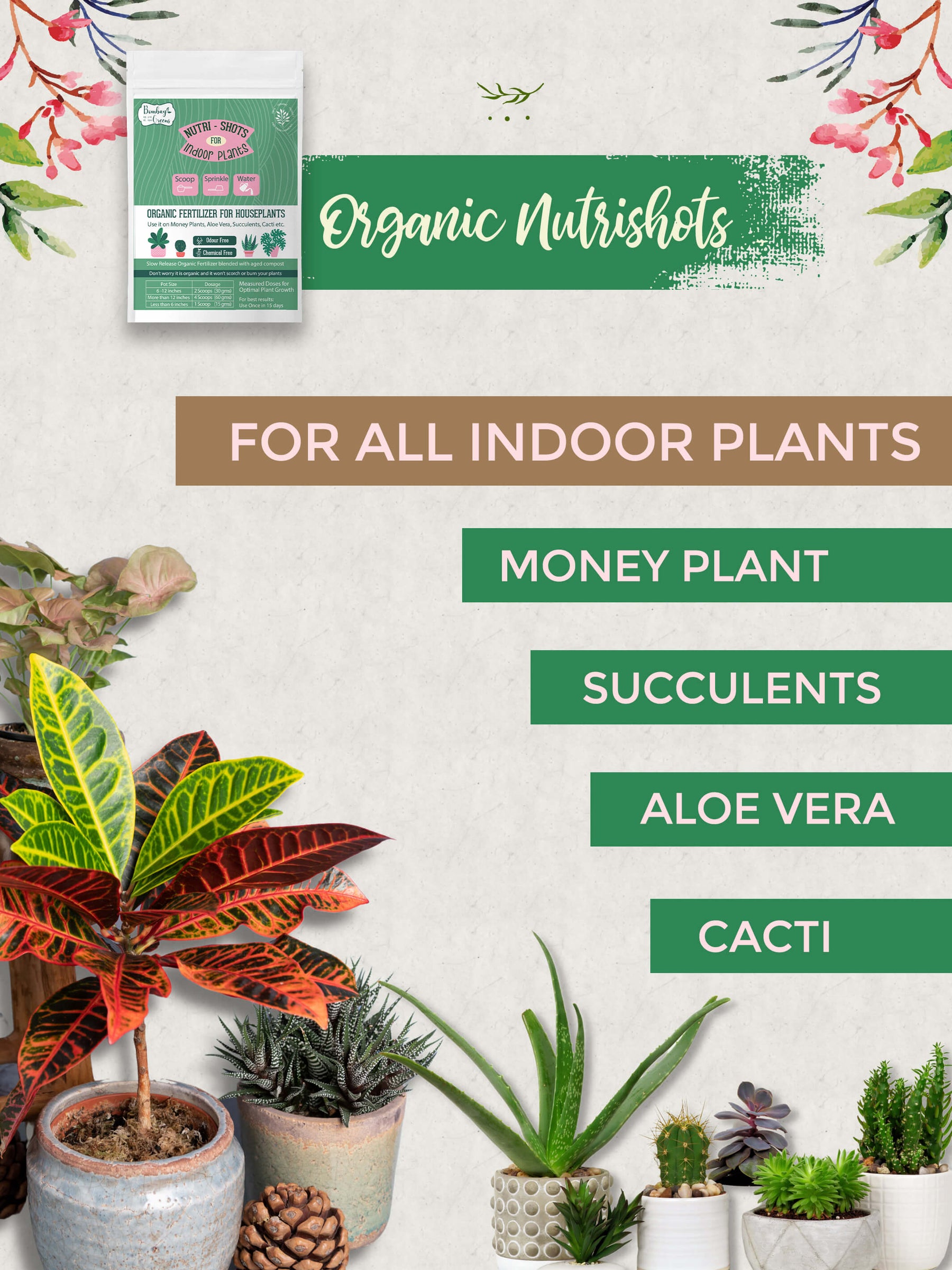 Flower Liquid Fertilizer + Indoor Plant Fertilizer-Combo