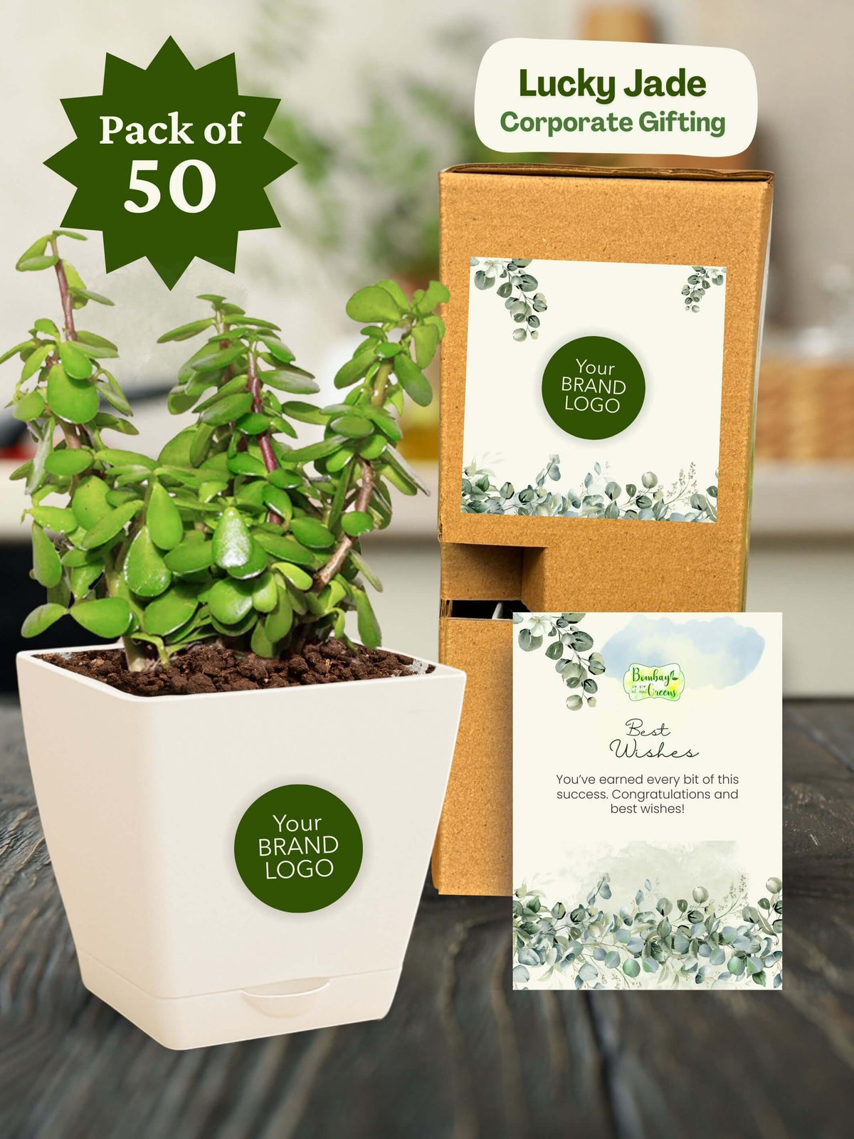 Lucky-Jade-Corporate (Pack of 50)