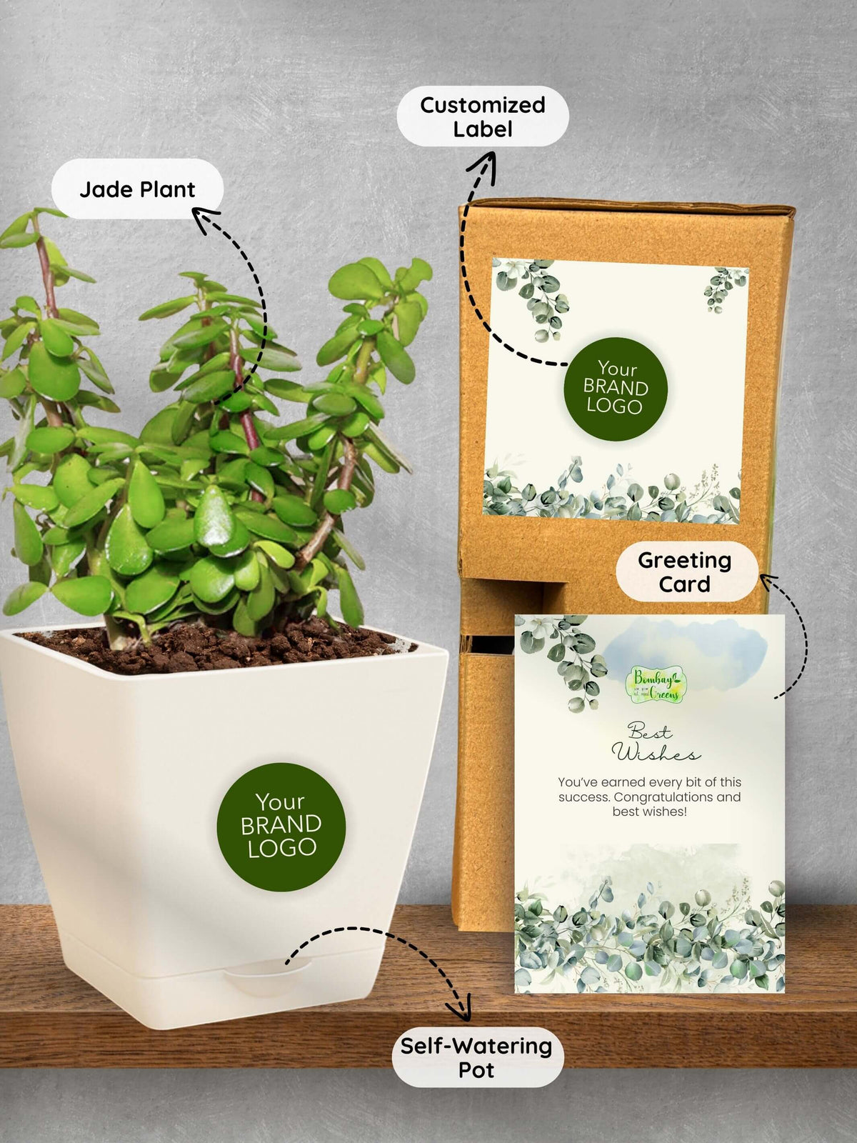 Lucky-Jade-Corporate (Pack of 50)