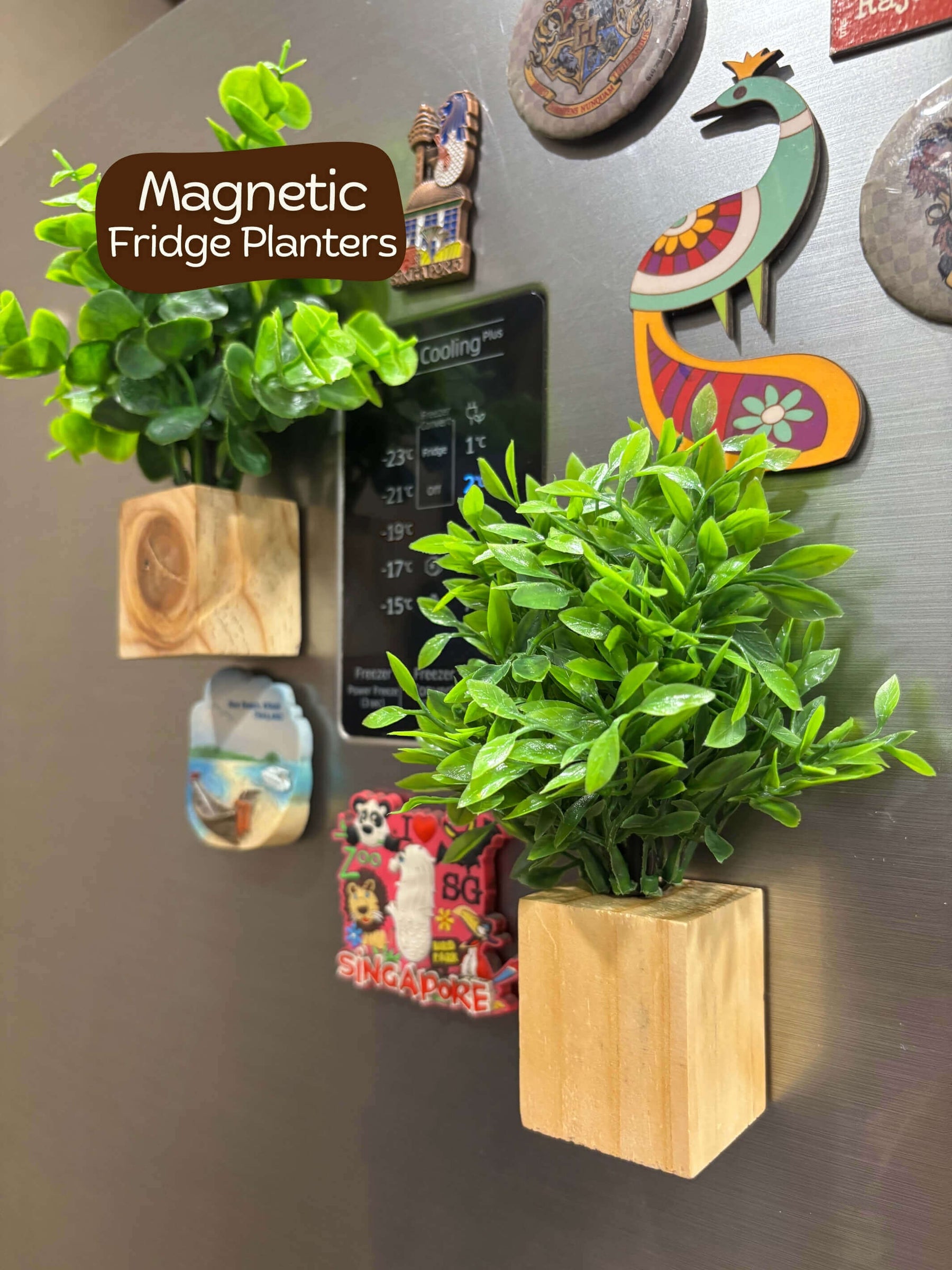 Magnetic Fridge Wooden Planter with Plants- 2 pieces