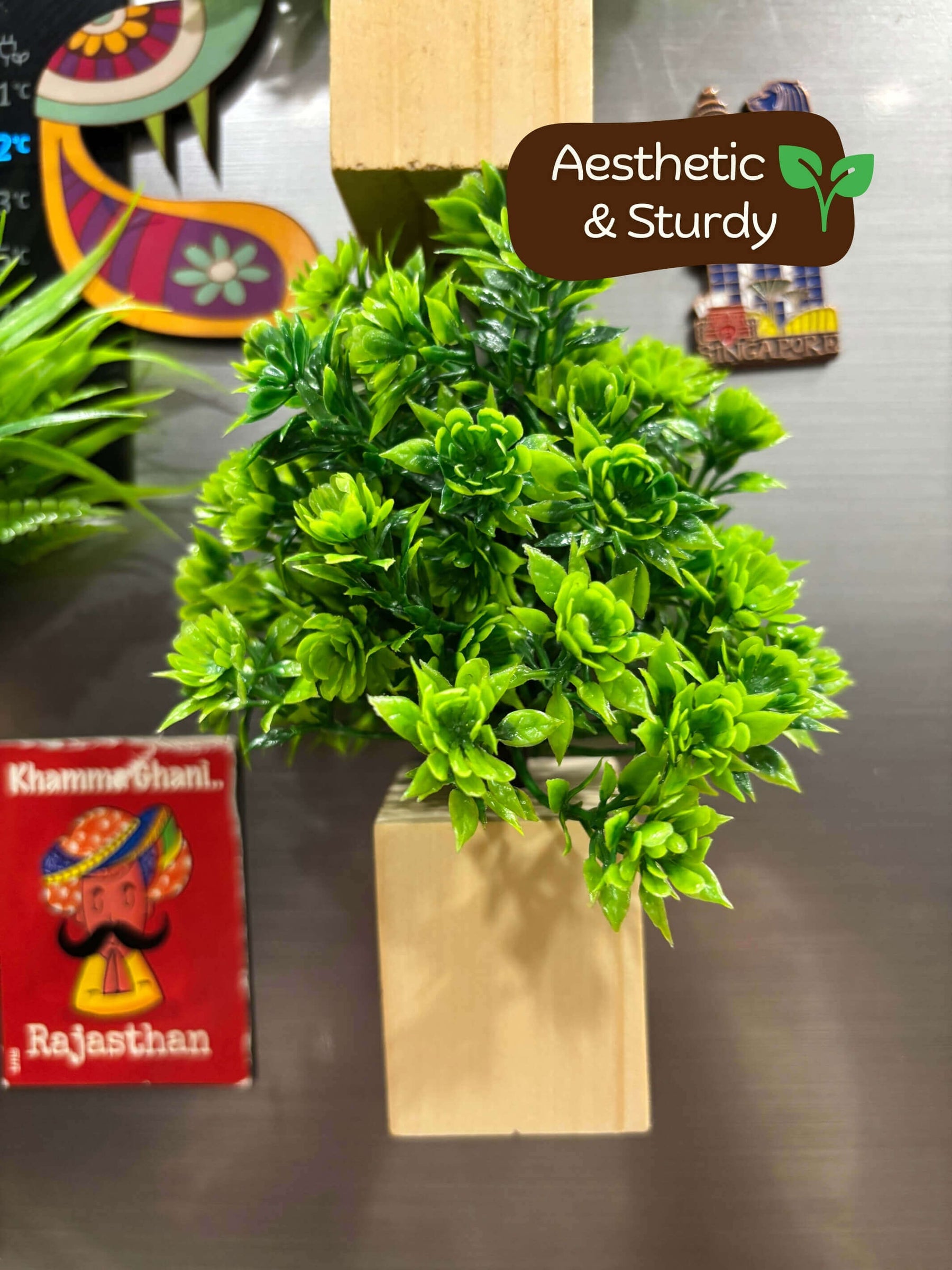 Magnetic Fridge Wooden Planter with Plants- 2 pieces