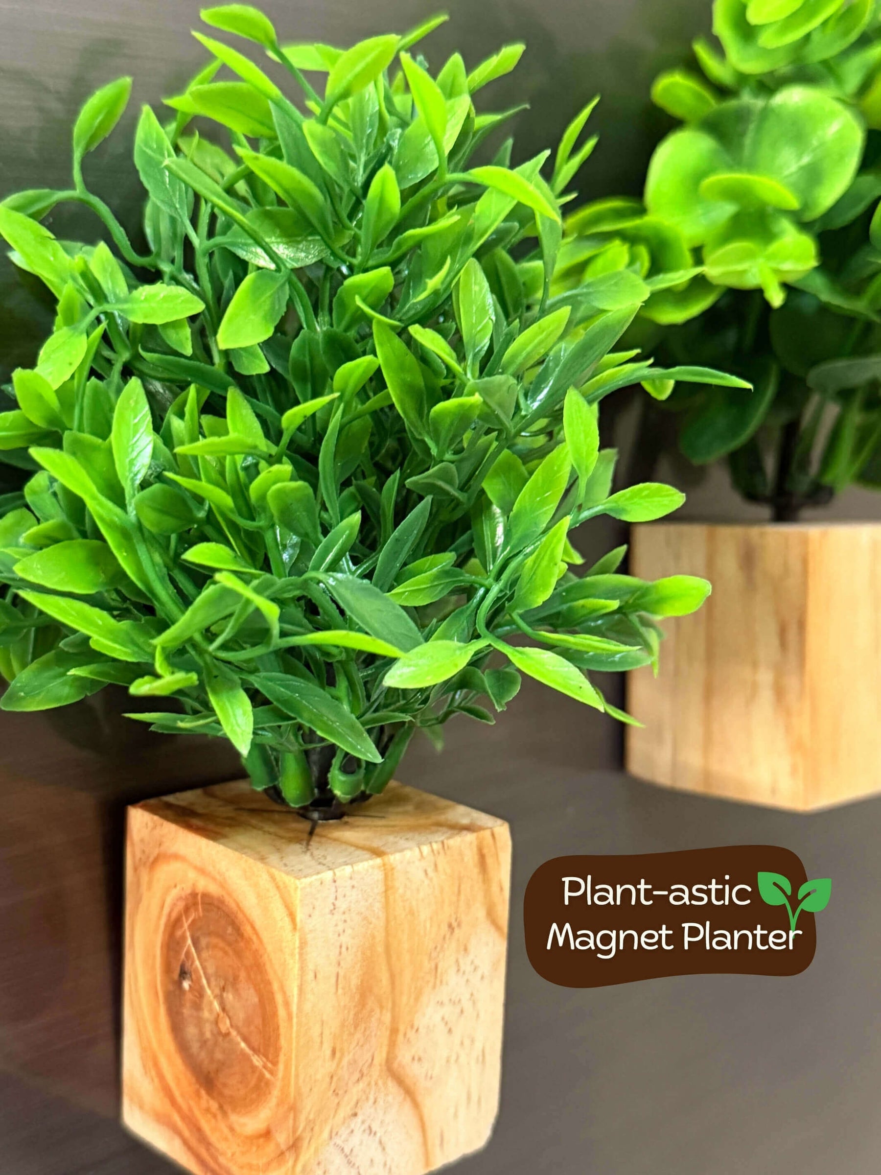 Magnetic Fridge Wooden Planter with Plants- 2 pieces