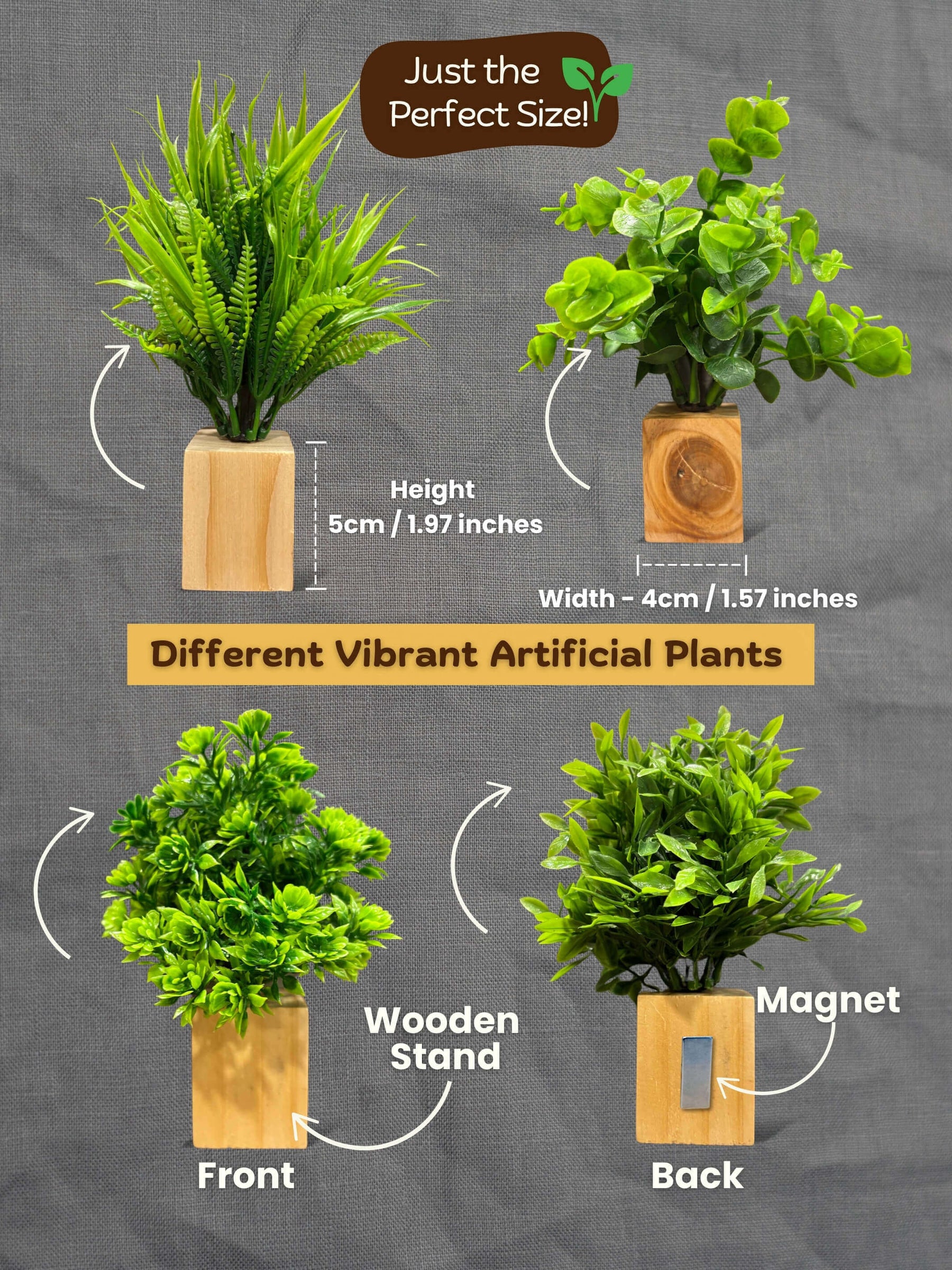 Magnetic Fridge Wooden Planter with Plants- 2 pieces