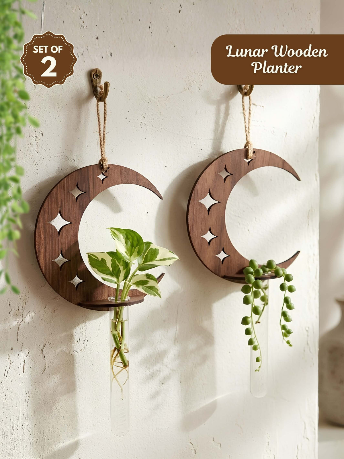 Lunar Wooden Test Tube Planter - Set of 2