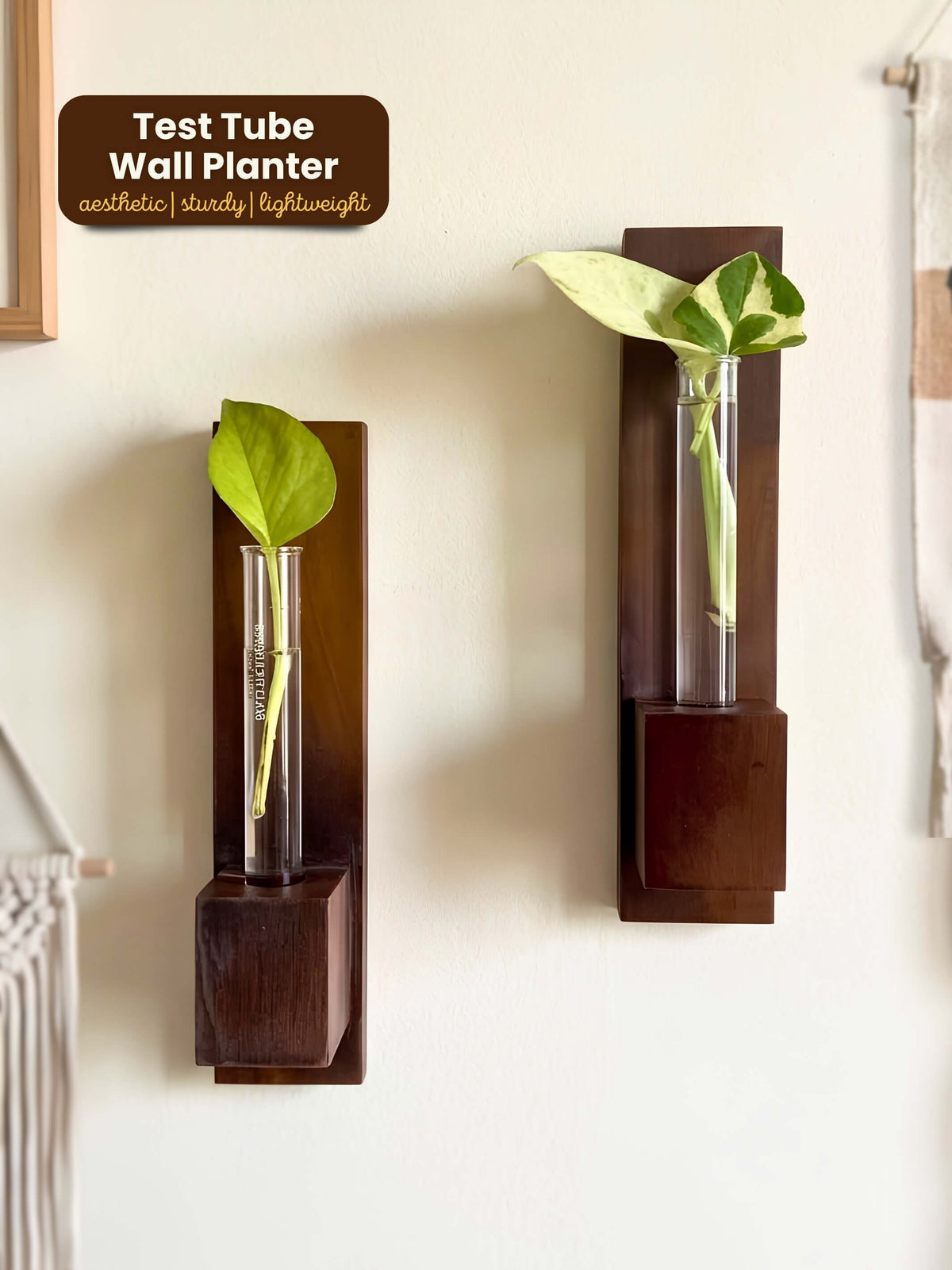 Test Tube Wall Planter with Wooden Holder (set of 2)
