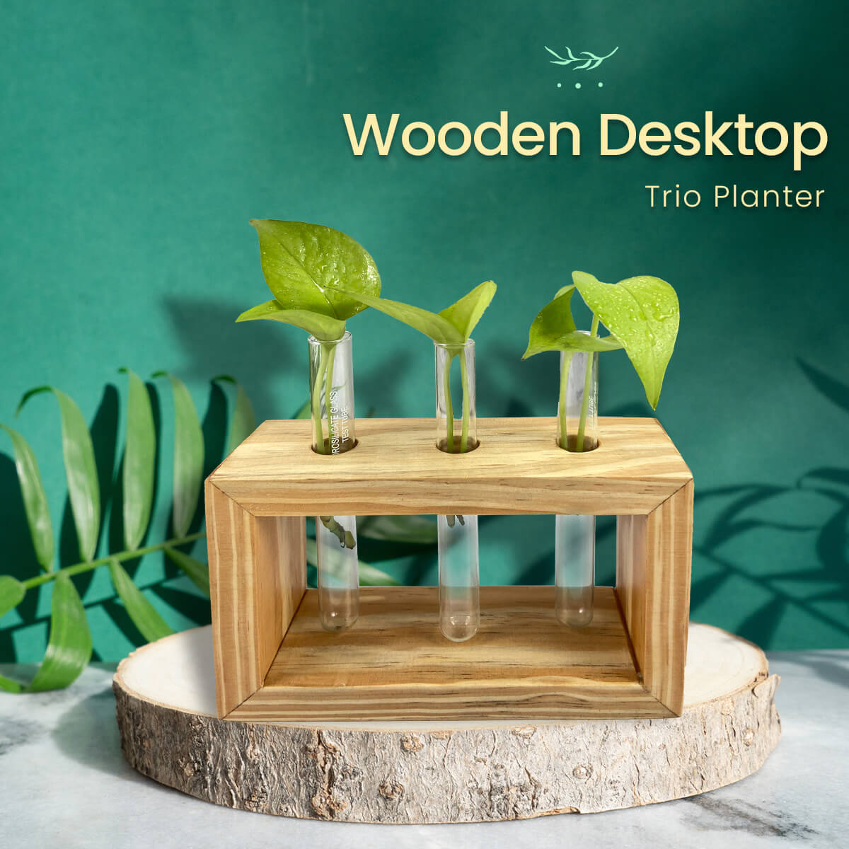 Desktop Planters