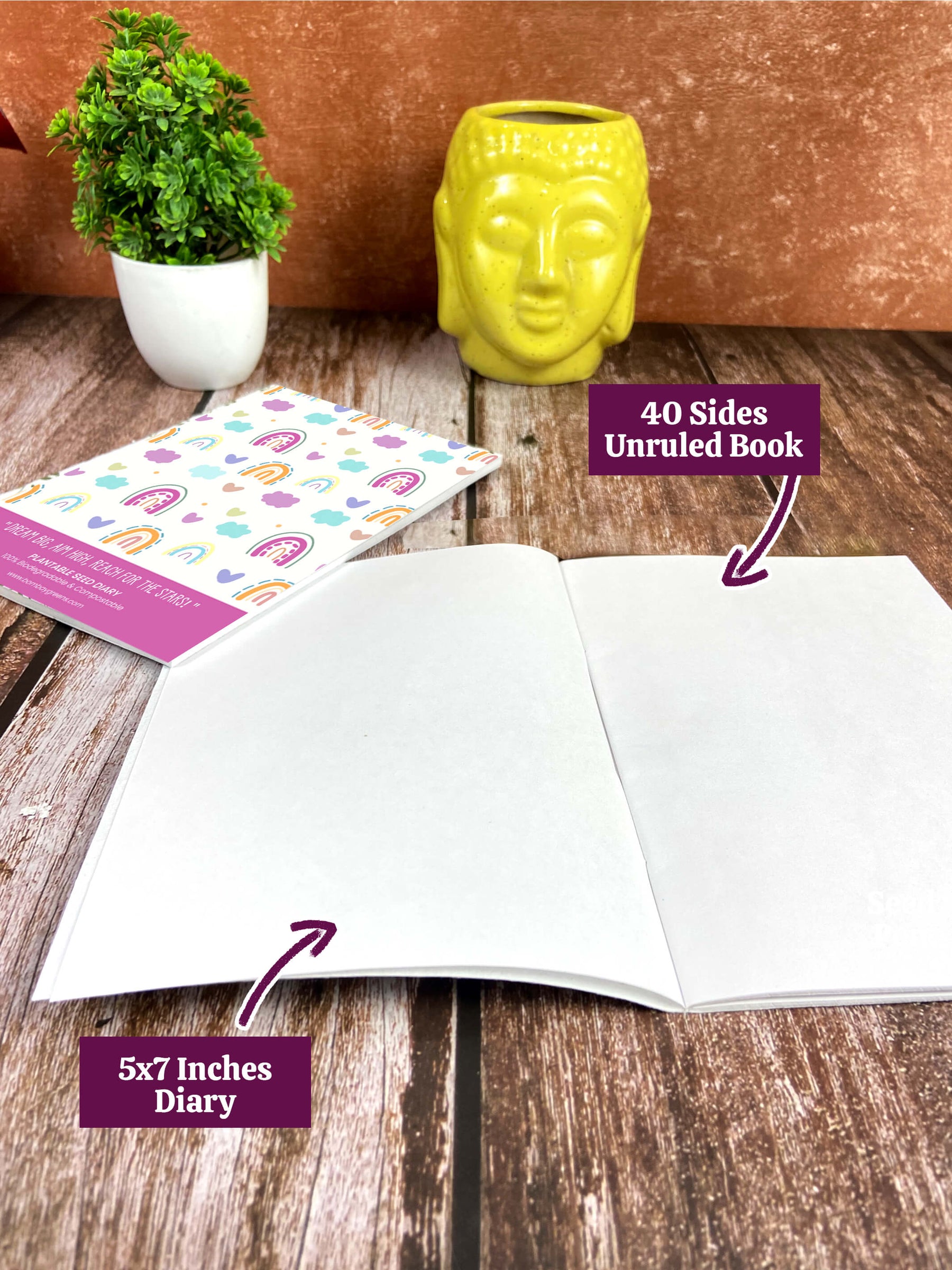 Plantable Diary + Seed Pen - Rainbow (Pack of 20)