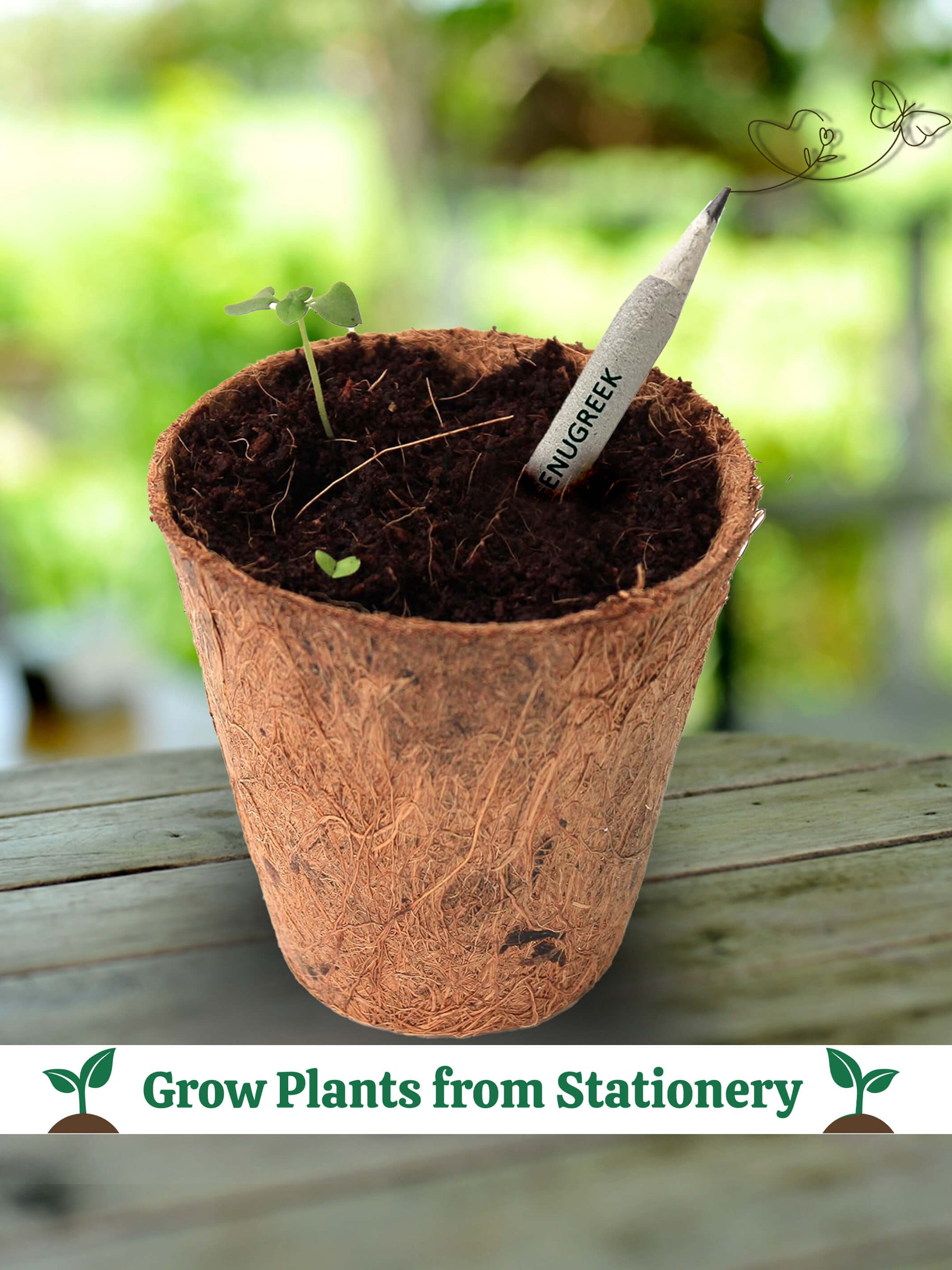 Plantable Stationery - (Pack of 50) - Corporate Gifting