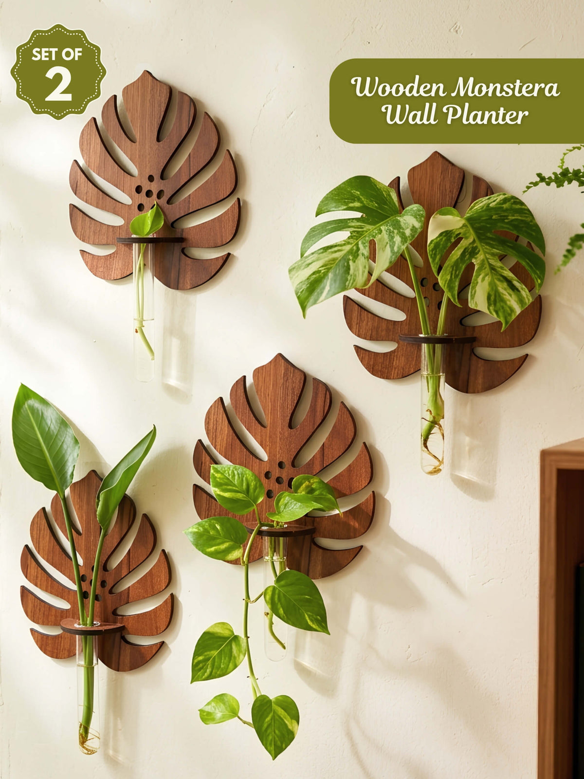 Wooden Monstera Wall Planter - 2 pcs