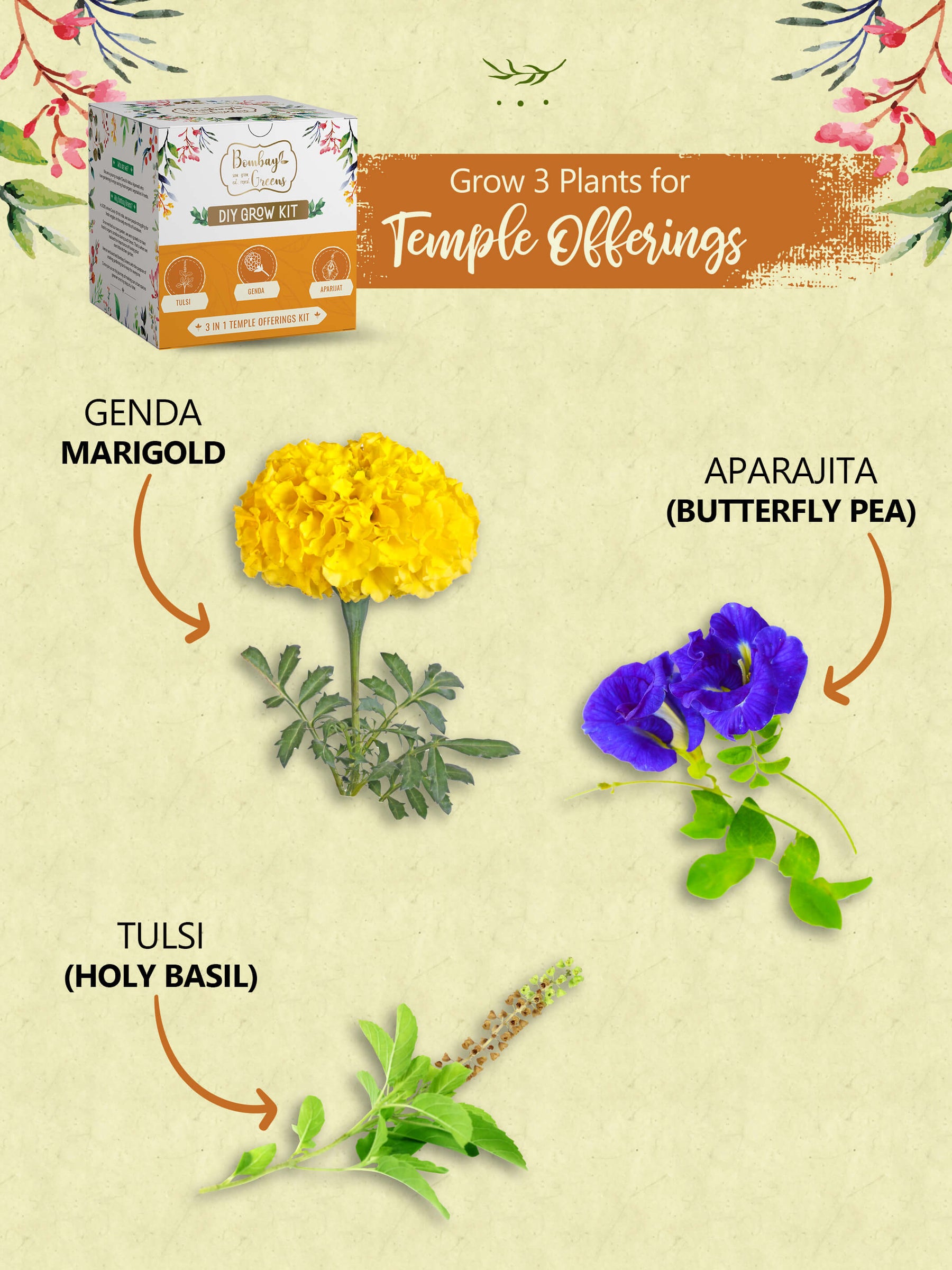 Grow Kits - Salad, Temple Offerings & Herbs (Pack of 3)