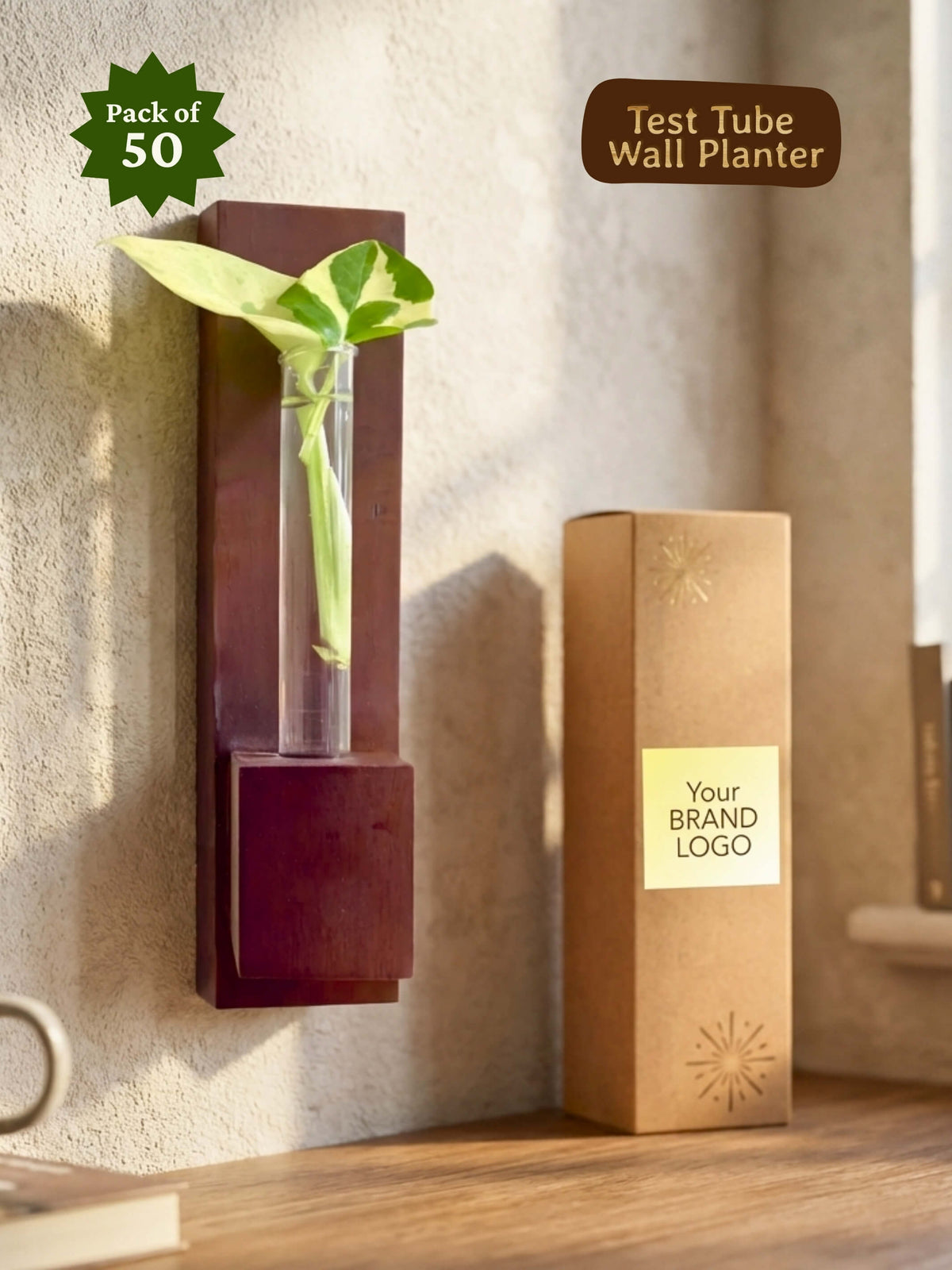 Test Tube Wall Planter in Premium Box (Pack of 50)