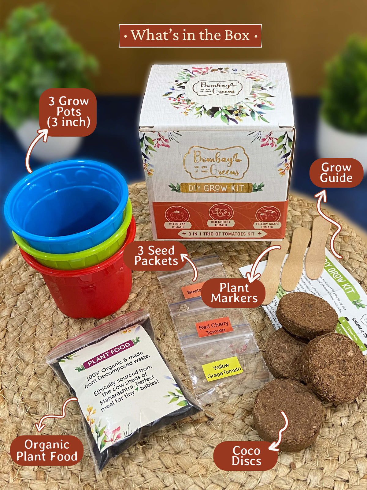 Tomato Kit – Grow Beefsteak, Red Cherry, Yellow Grape