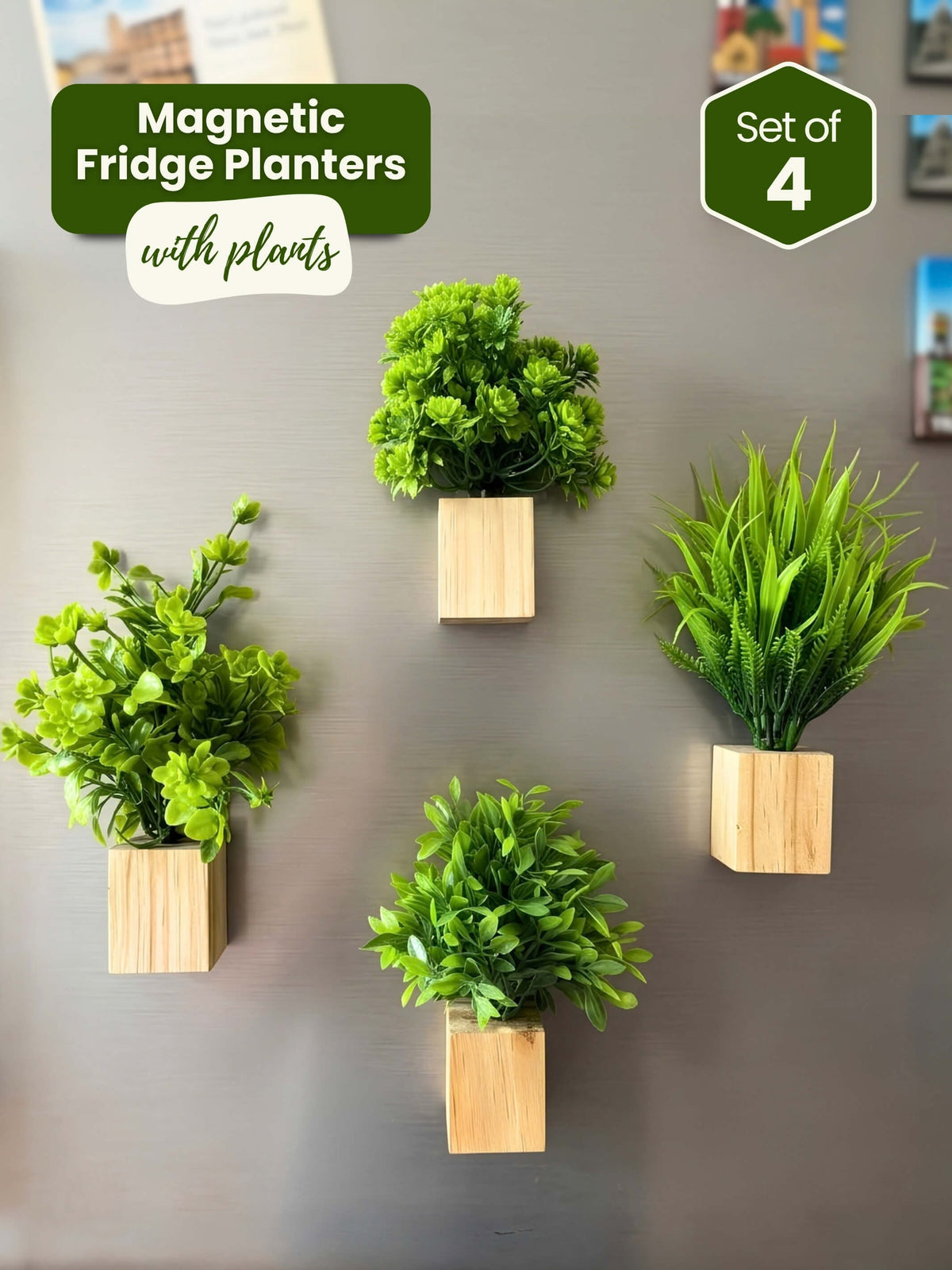 Magnetic Fridge Wooden Planter with Plants- 4 pieces