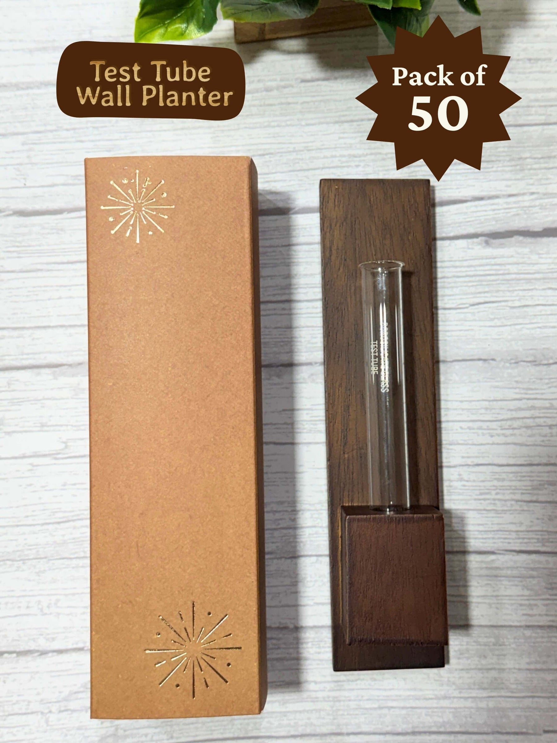 Test Tube Wall Planter in Premium Box (Pack of 50)