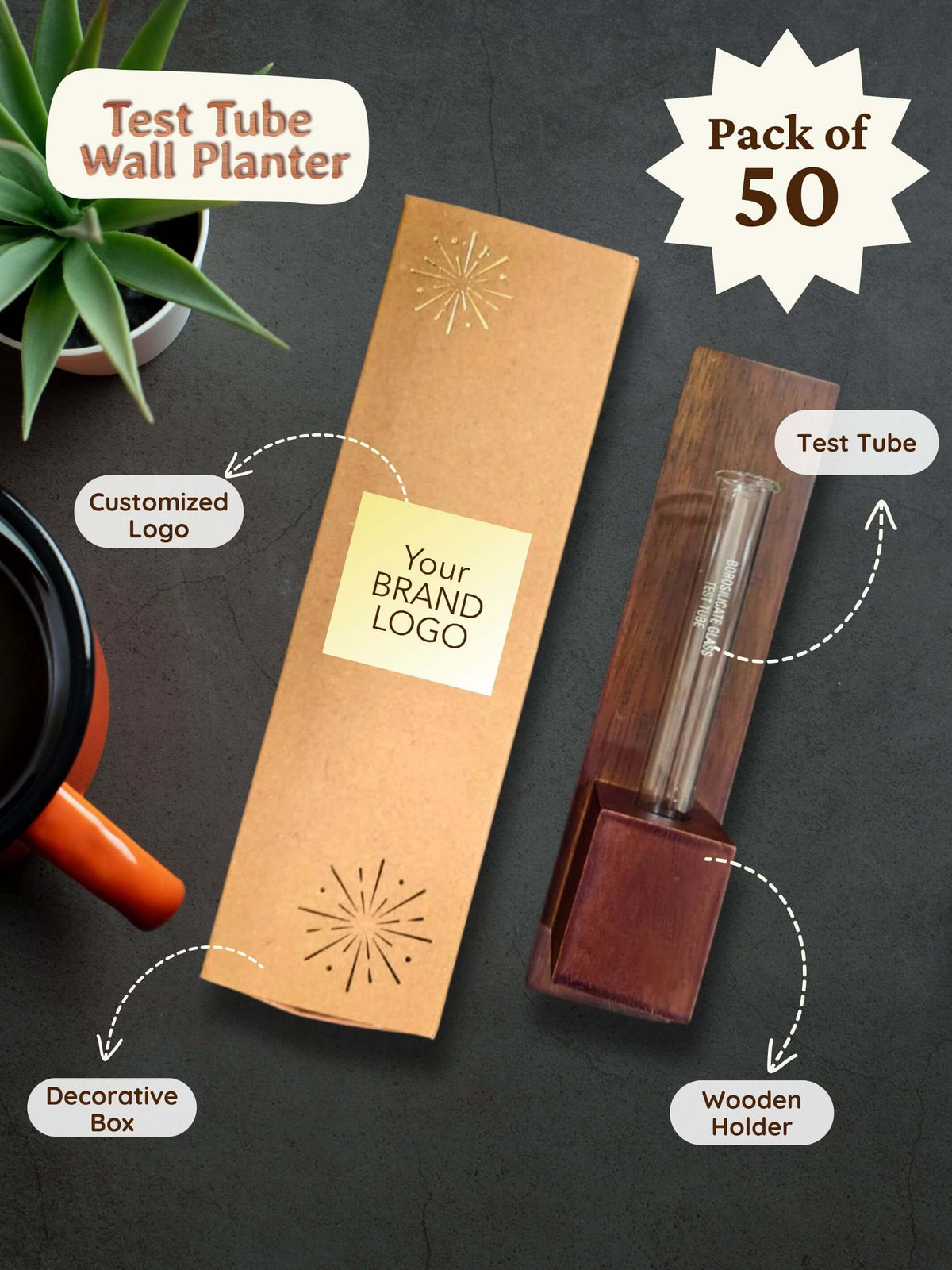 Test Tube Wall Planter in Premium Box (Pack of 50)