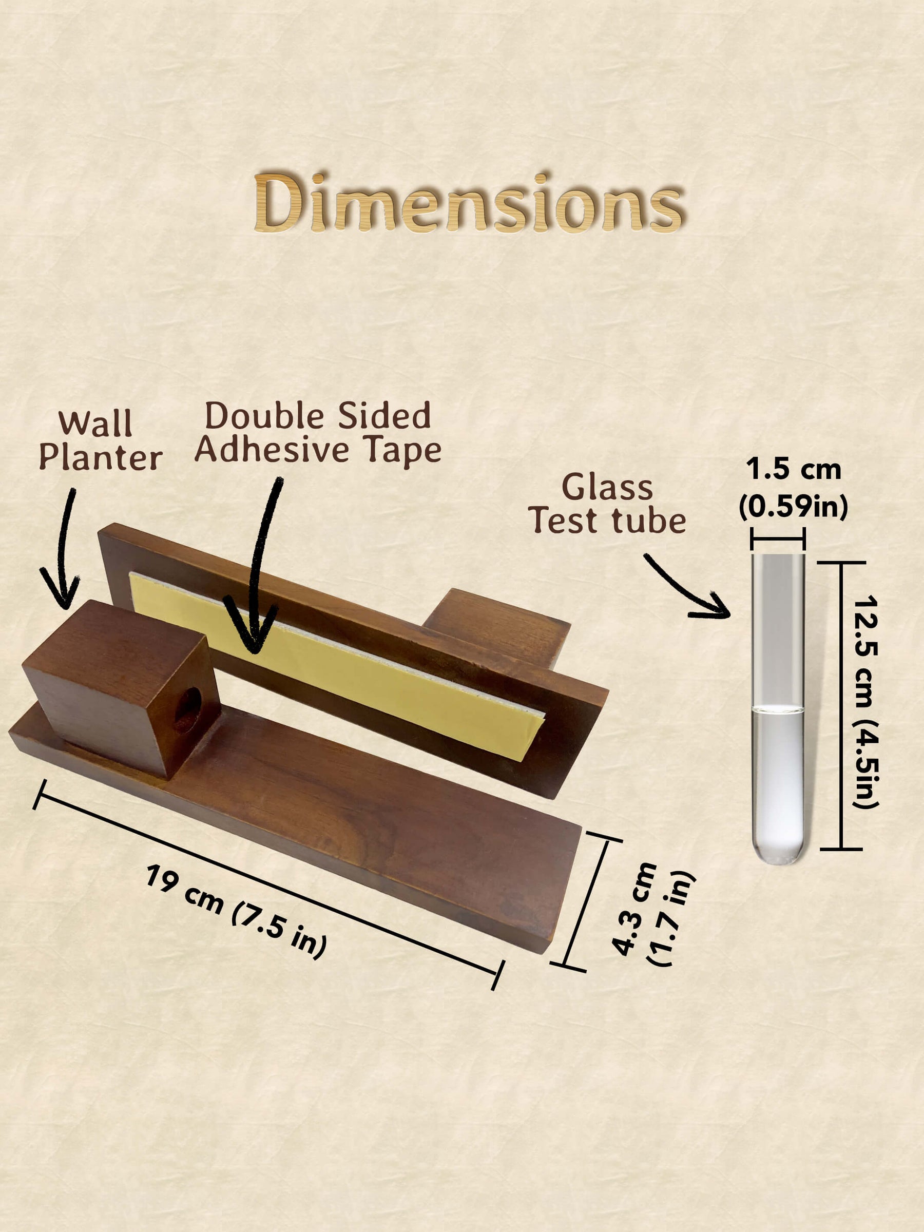 Test Tube Wall Planter in Premium Box (Pack of 50)