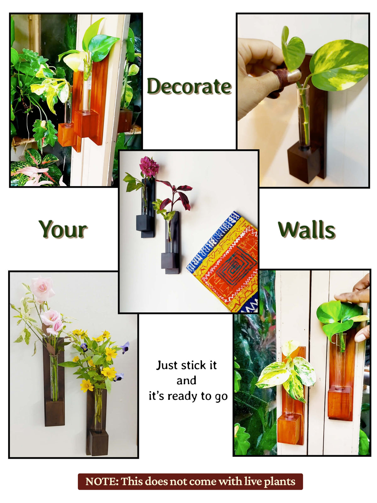 Test Tube Wall Planter in Premium Box (Pack of 50)
