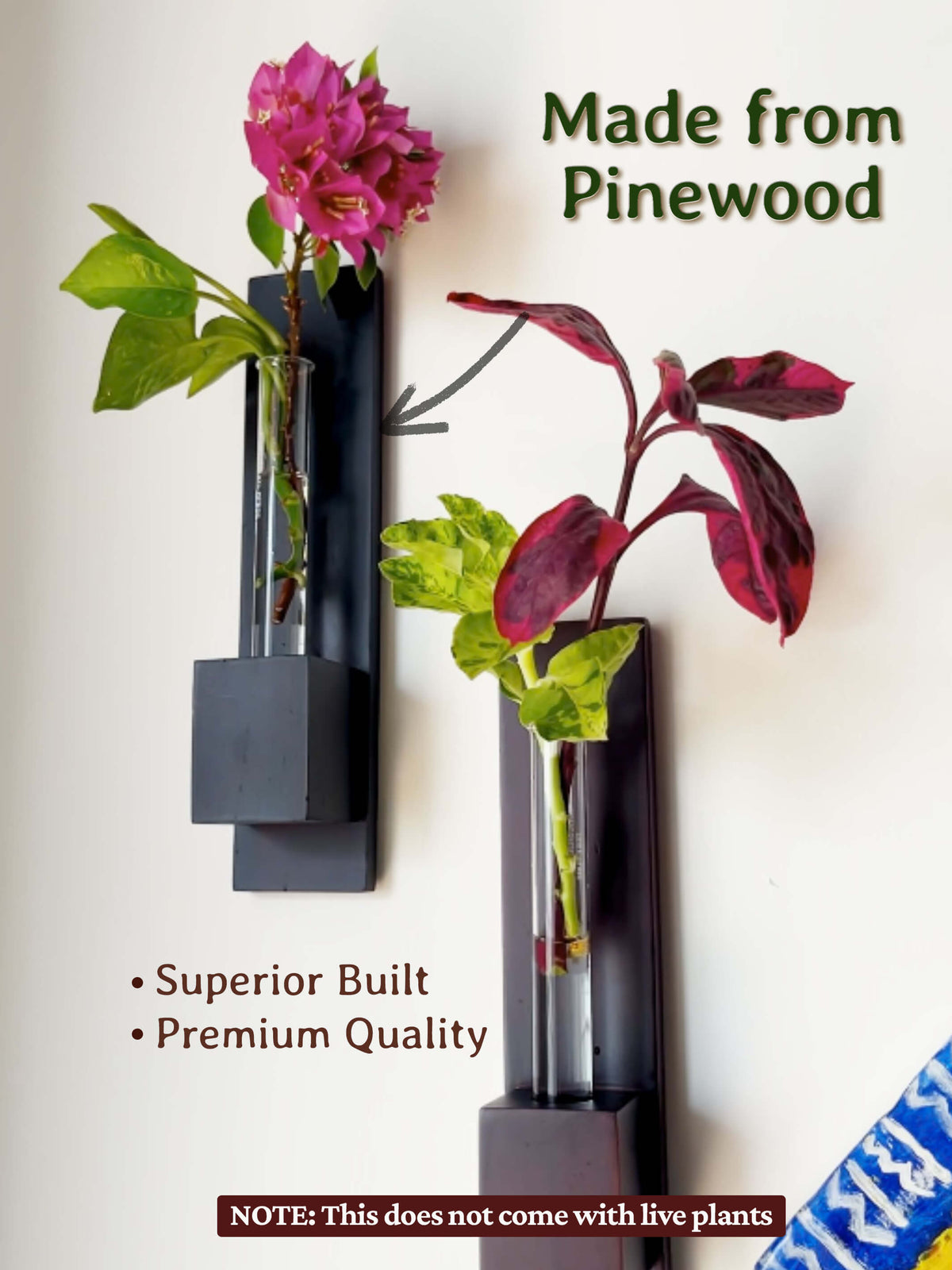 Test Tube Wall Planter with Wooden Holder (set of 3)