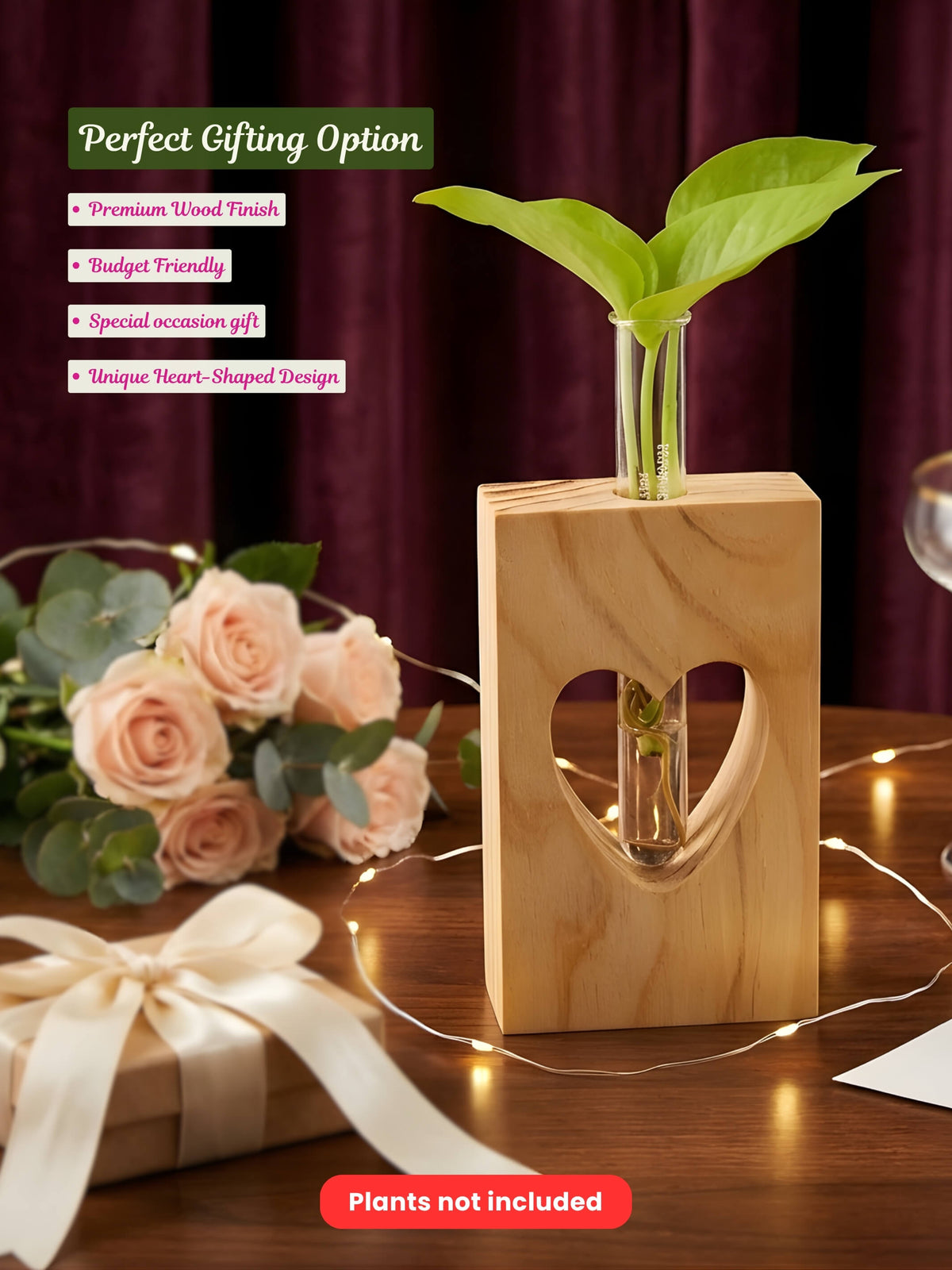 Wooden Planter with Test Tube