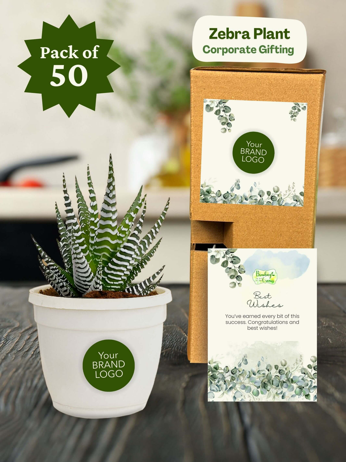 Zebra-Plant-Corporate (Pack of 50)